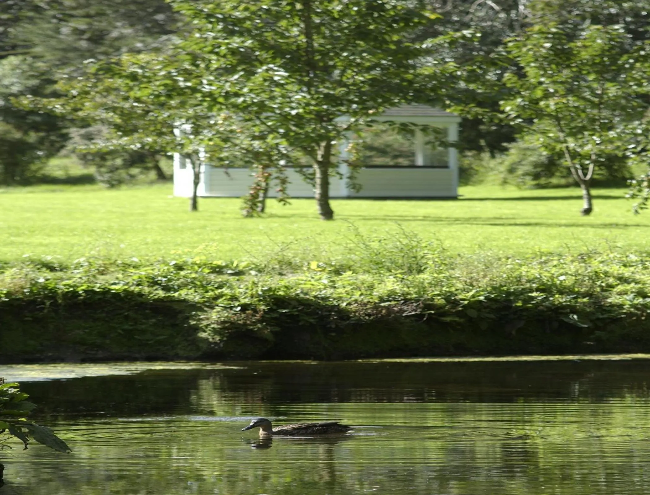 Garden in Rose in Vale Country House Hotel