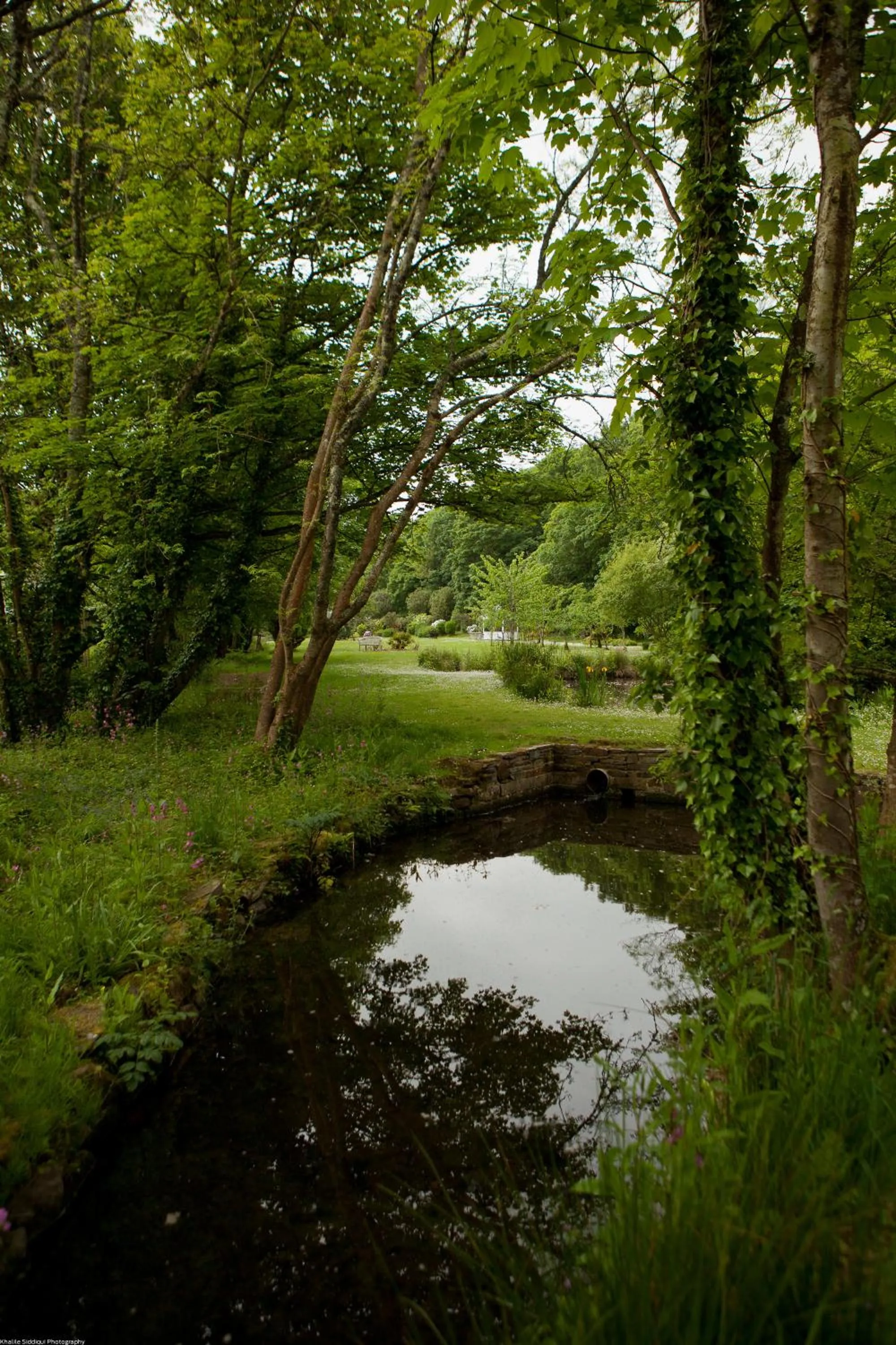 Garden in Rose in Vale Country House Hotel