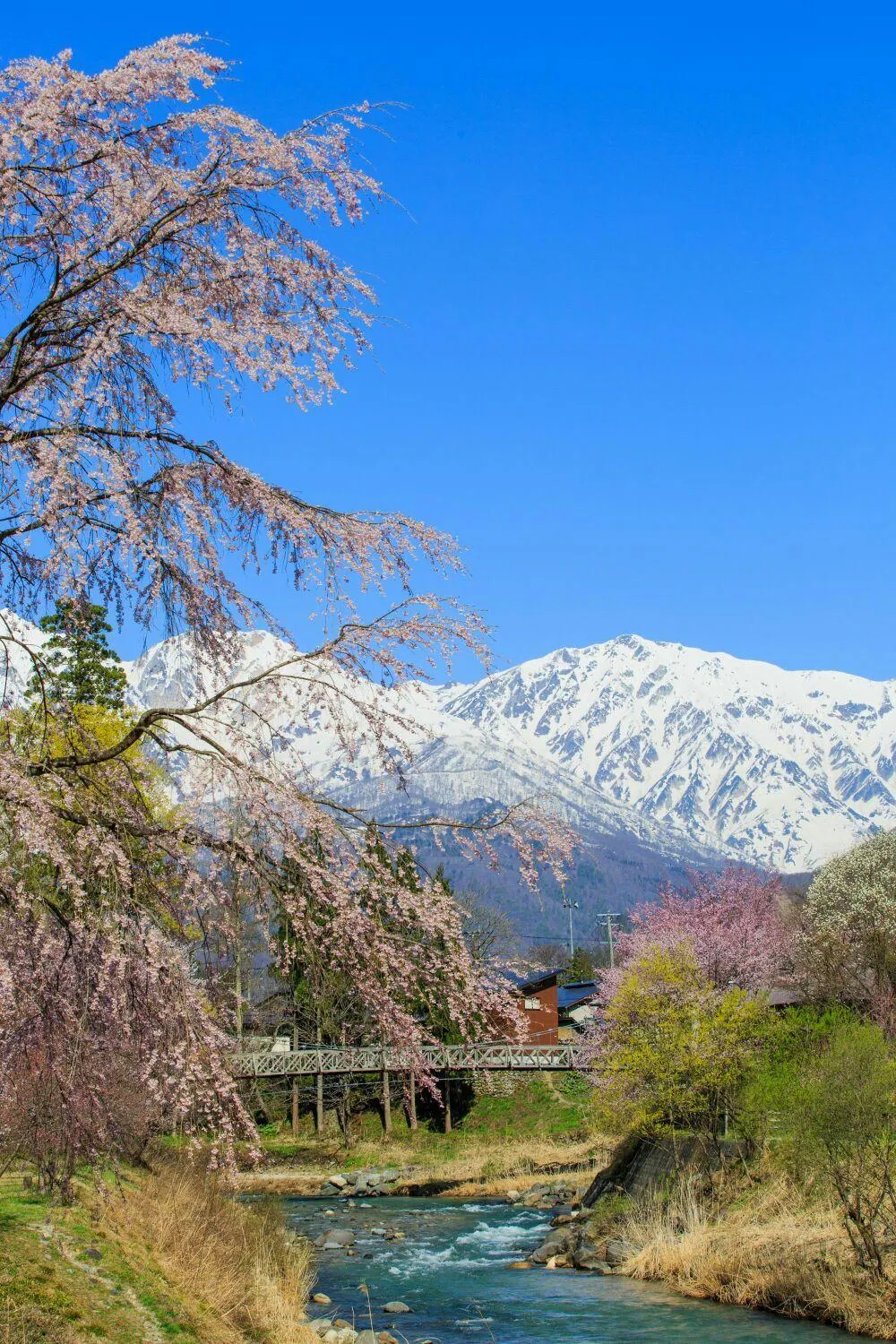 Off site in Villa Rengatei