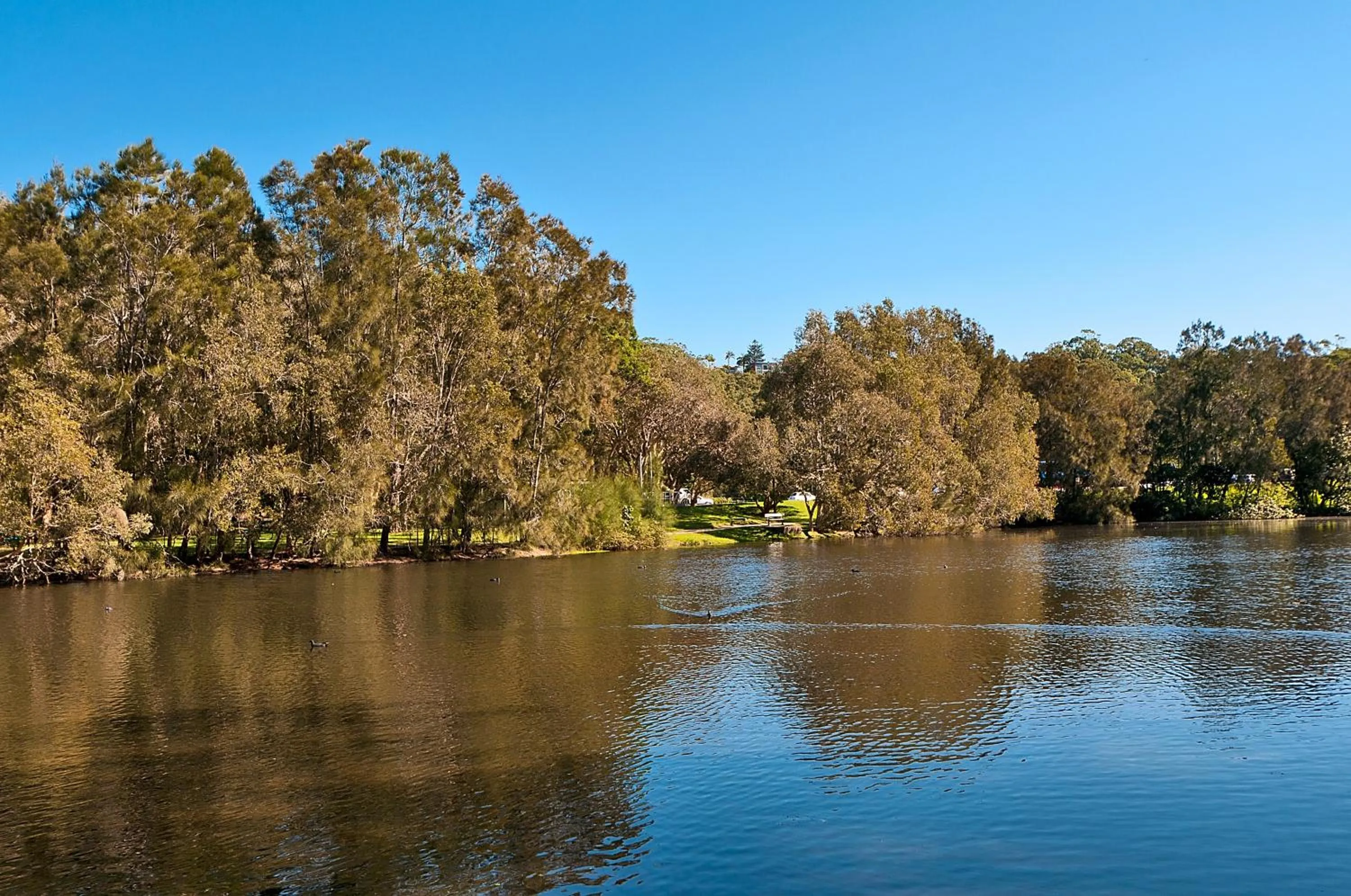 Natural landscape in Sanctuary Lake Apartments