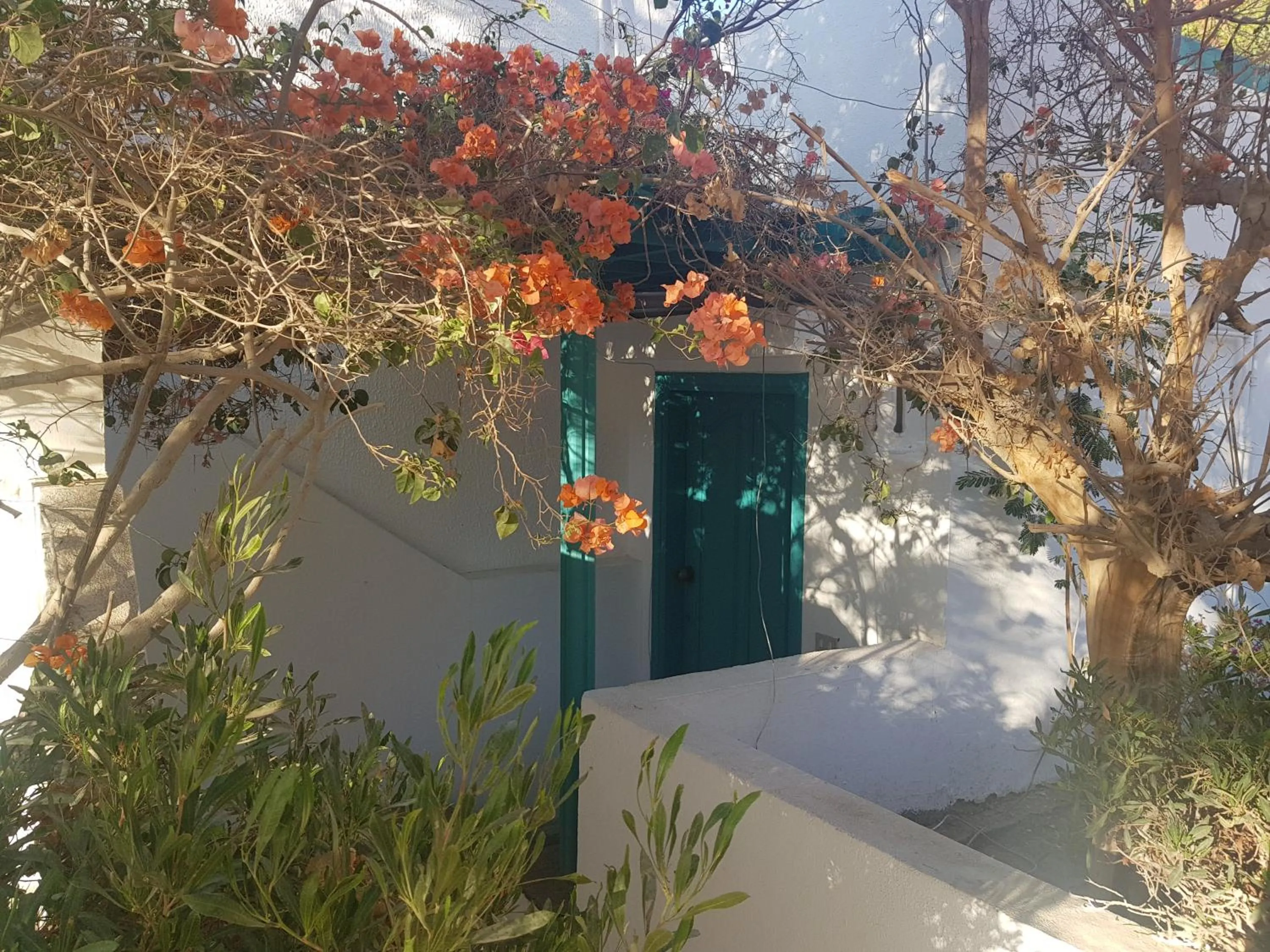 Facade/entrance in Lilly Rooms and Studio