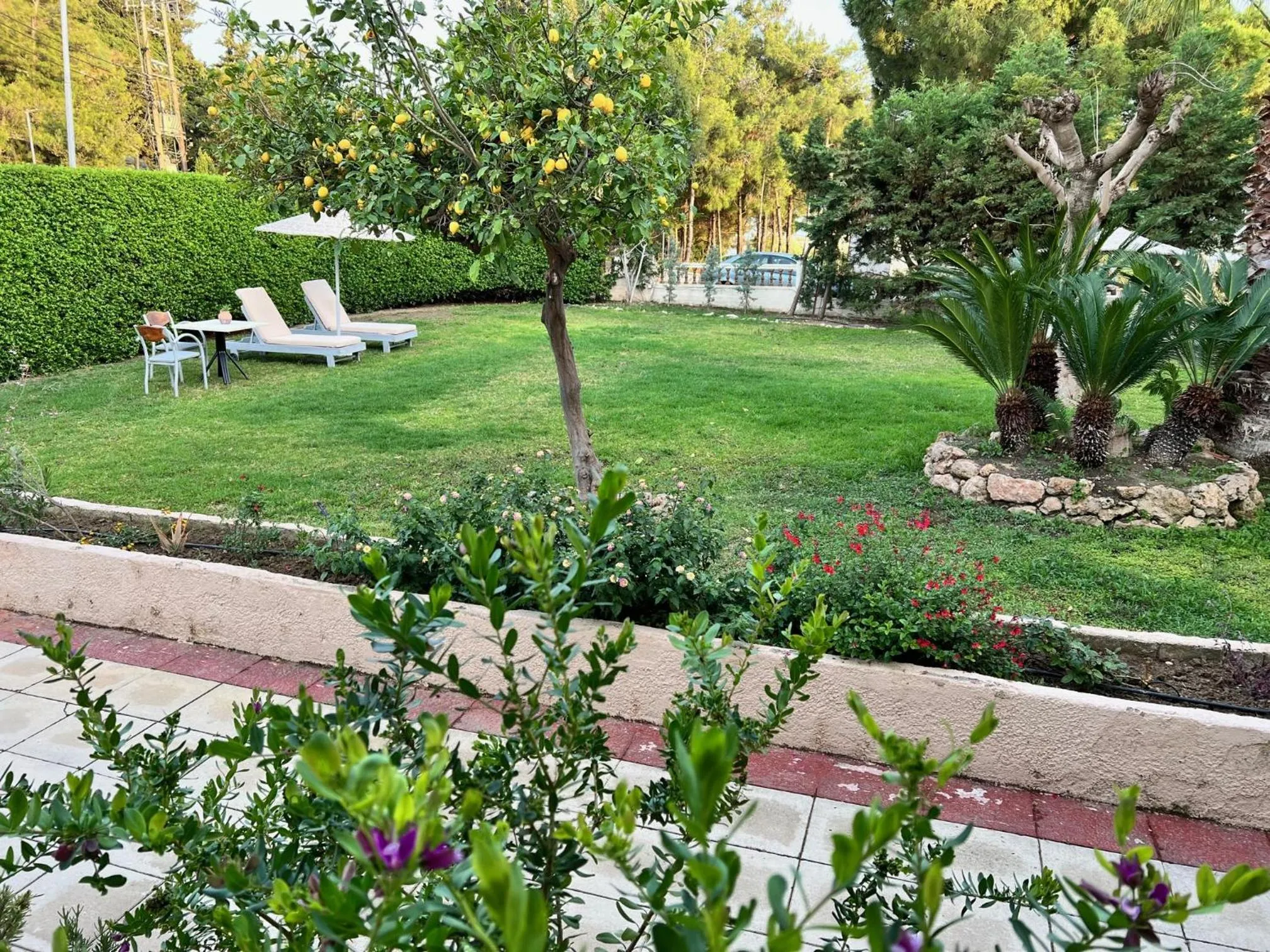 Garden in Golden days