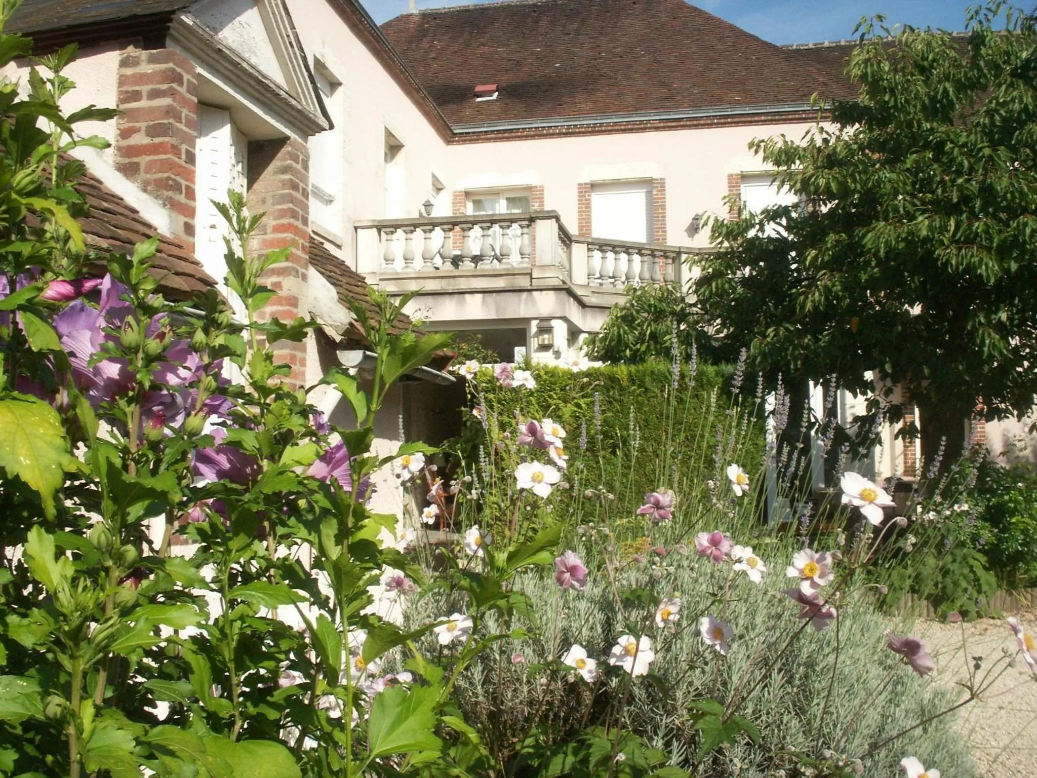 Garden in Blanche de Castille