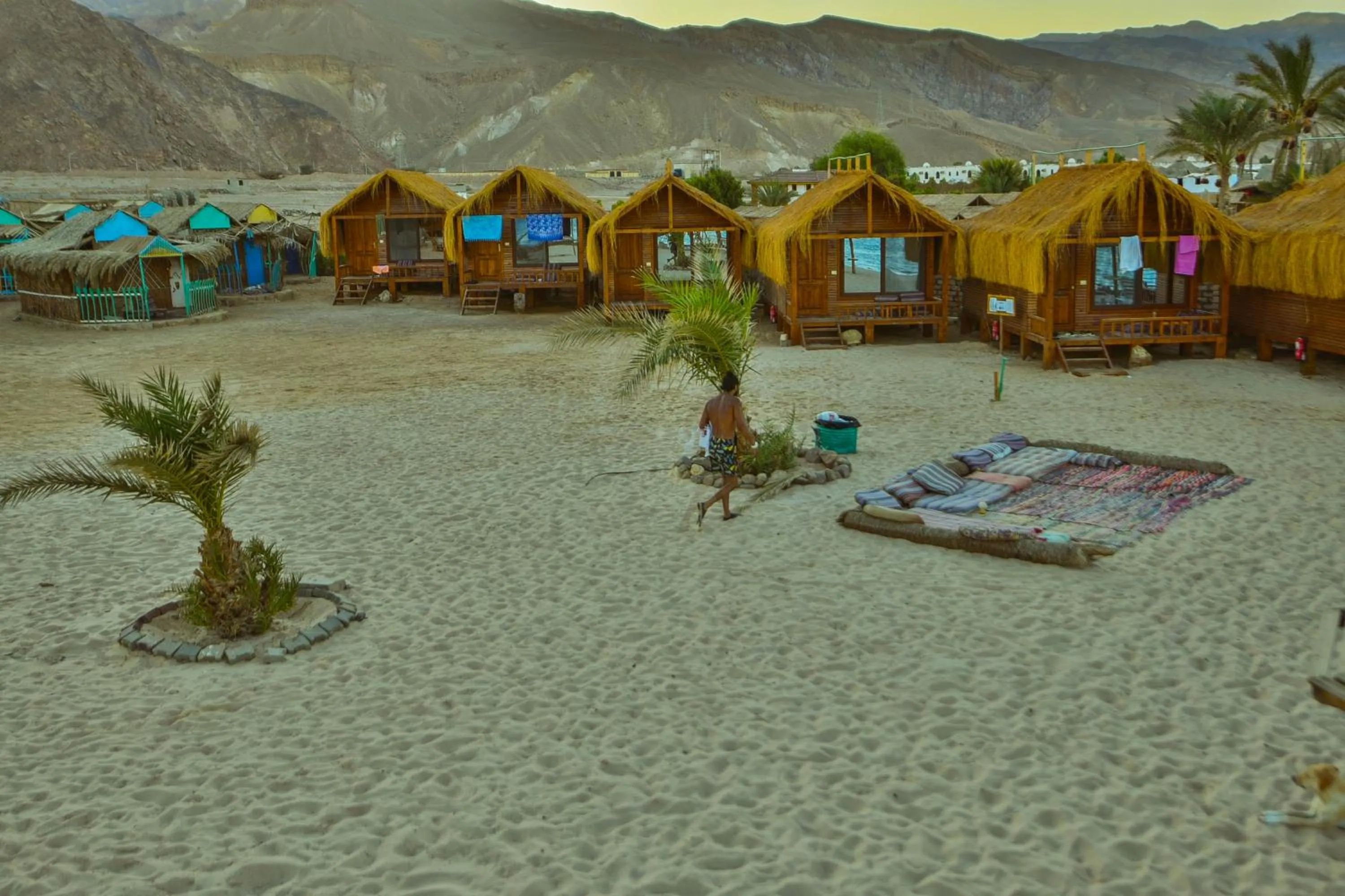 Property building in Paradise Sweir