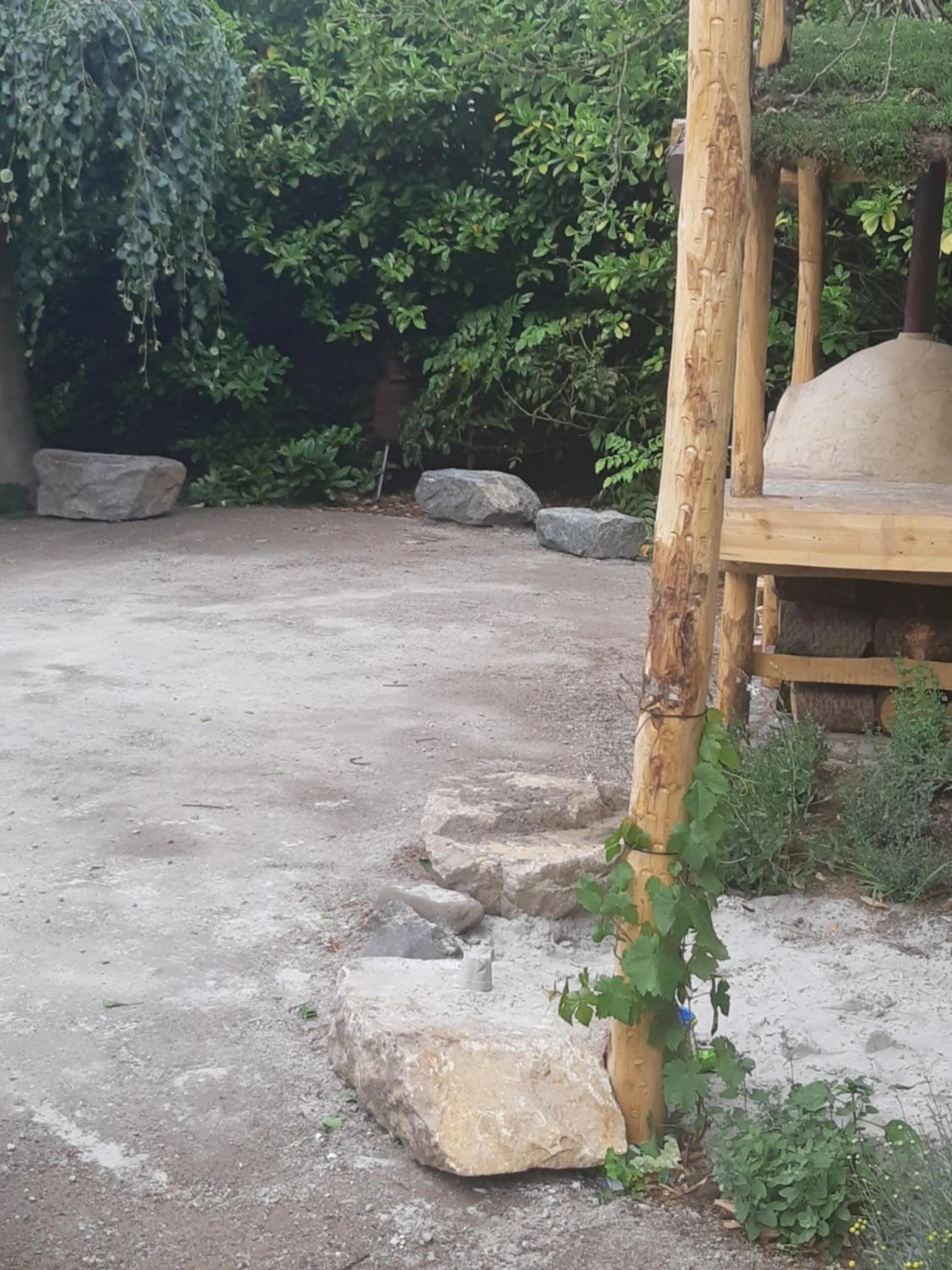 Garden in B&B Perron 22