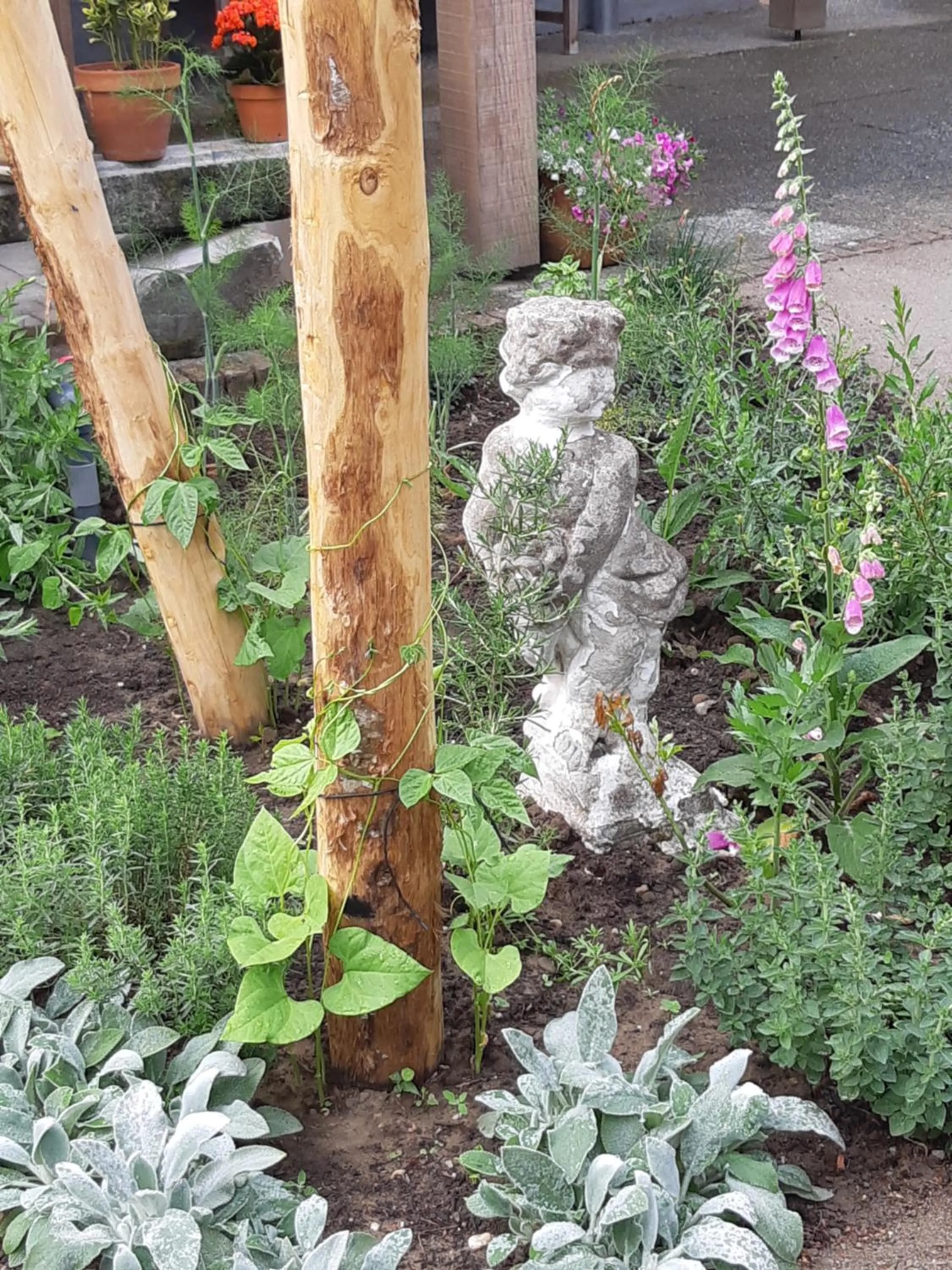 Garden in B&B Perron 22