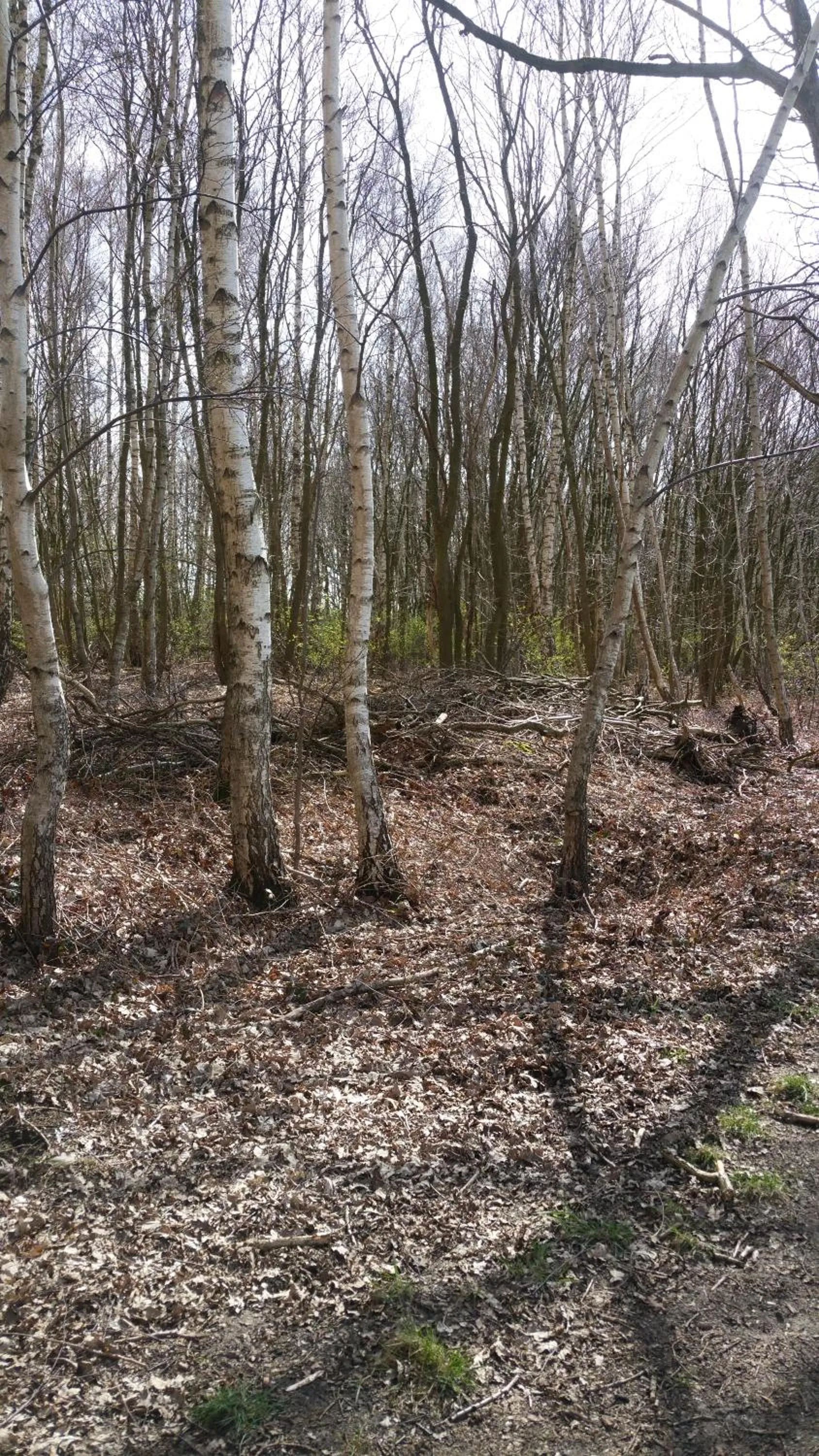 Area and facilities in B&B Perron 22