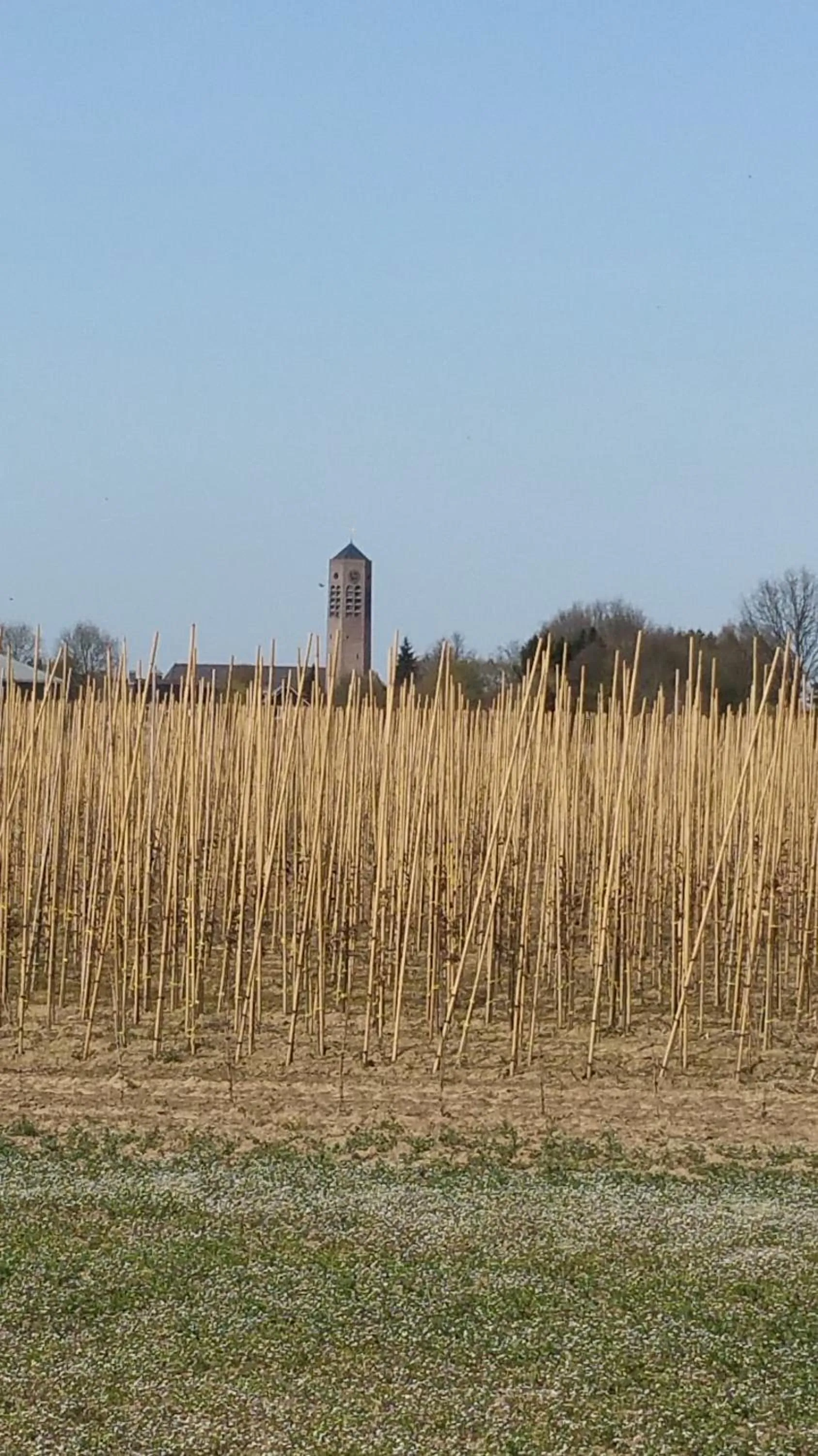 Area and facilities in B&B Perron 22