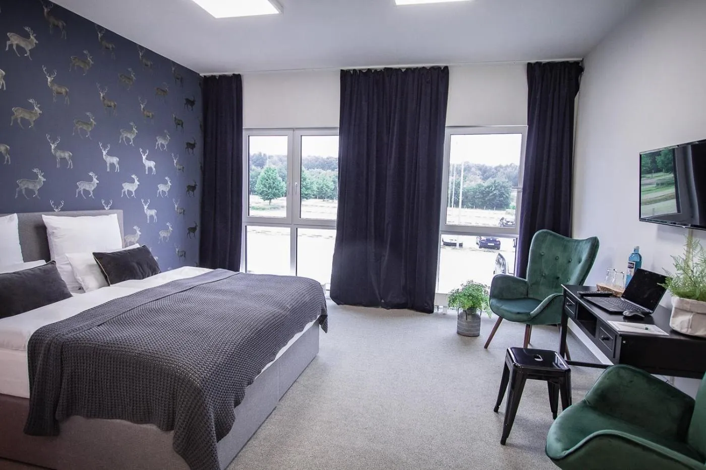 Photo of the whole room, Bed in Alpine Hotel