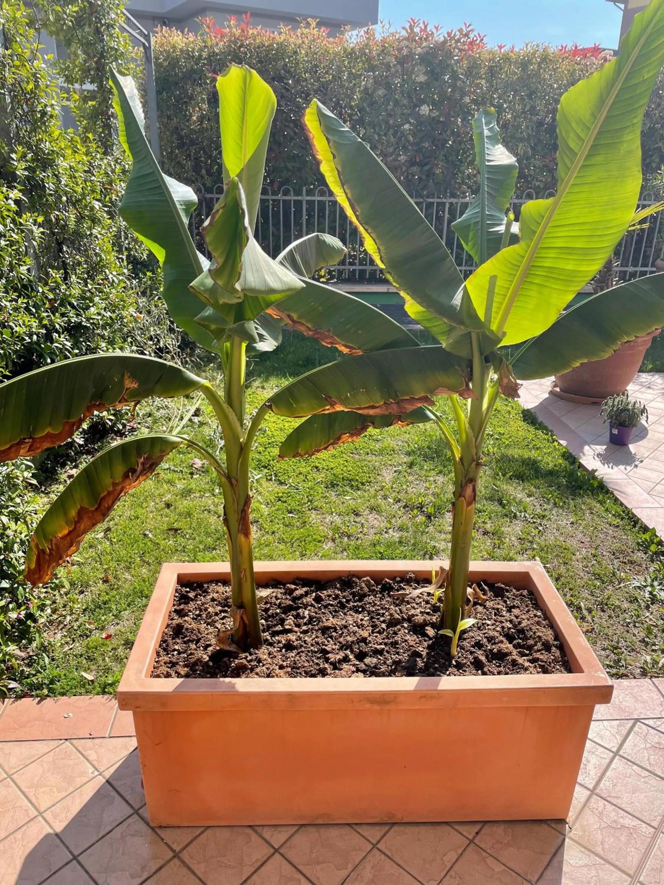 Ferretti Residence Garda Palace