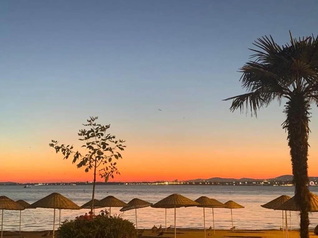 Paradise Island Hotel