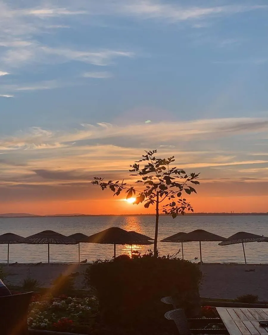 Paradise Island Hotel