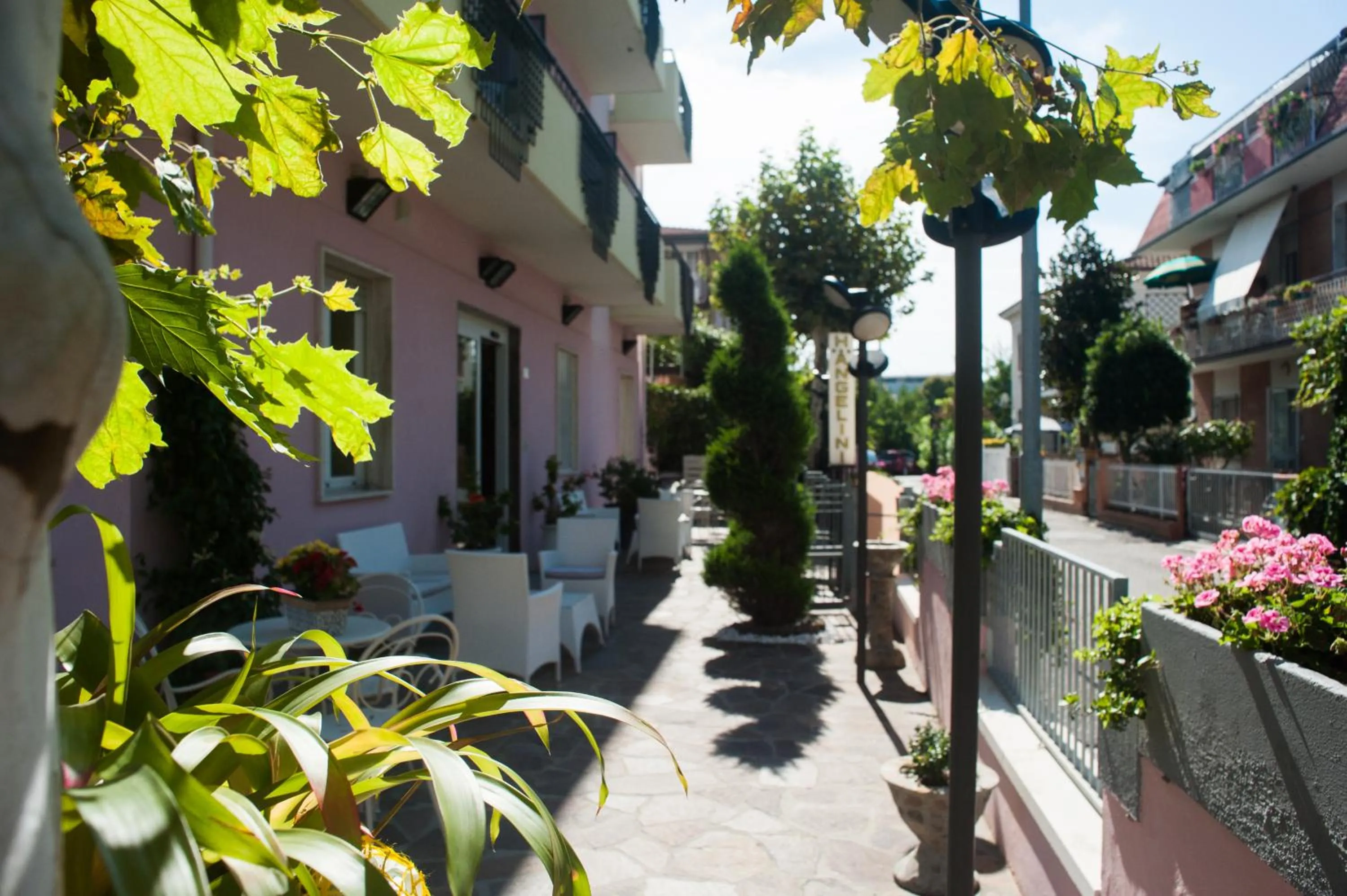 Garden in Hotel Angelini