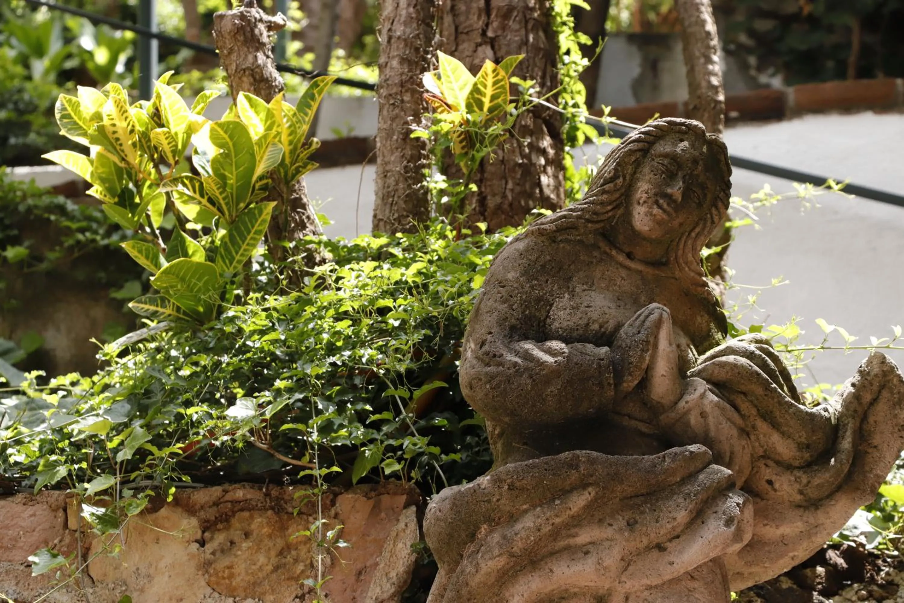 Garden in Casa de la Loma