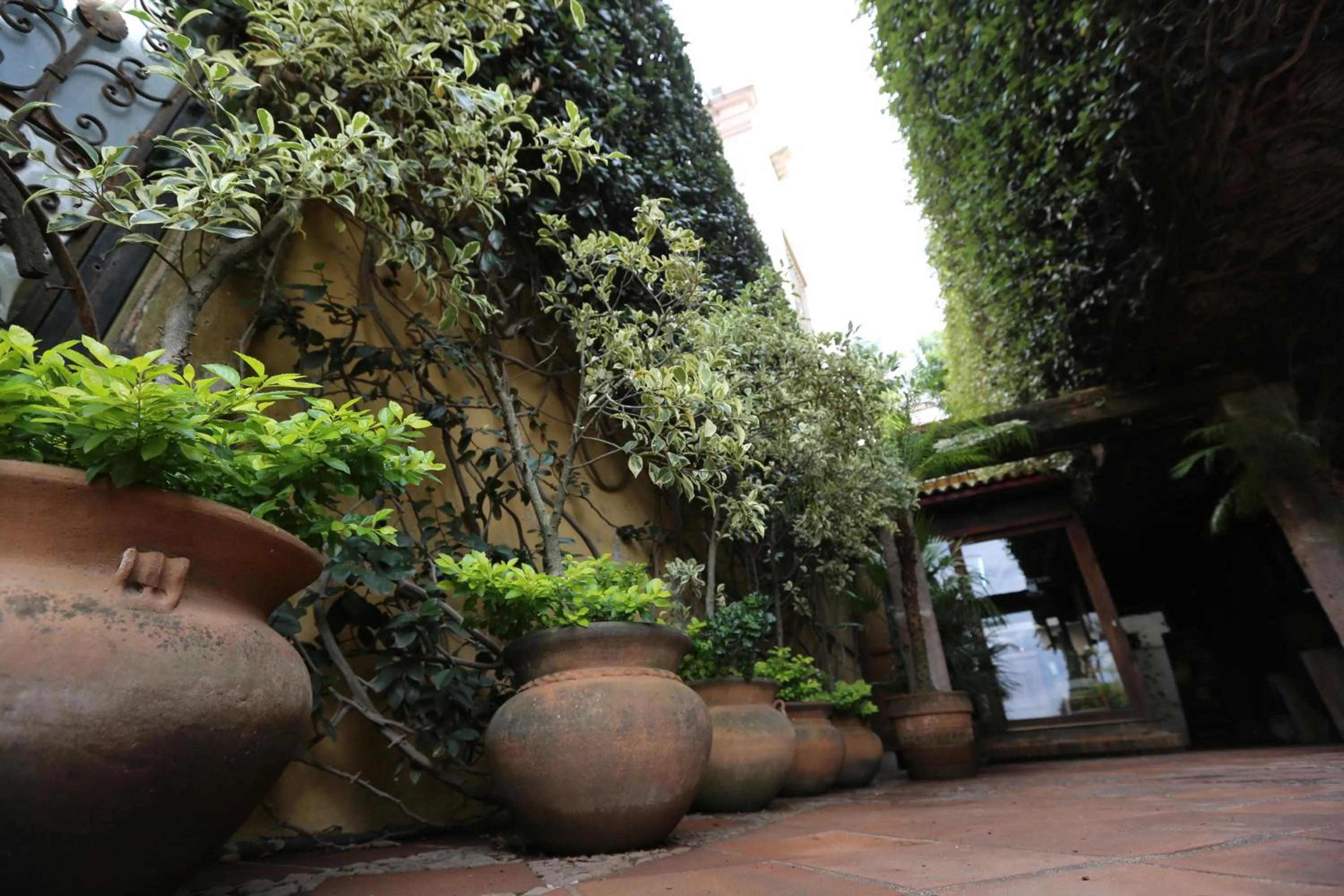 Winter in Casa de la Loma