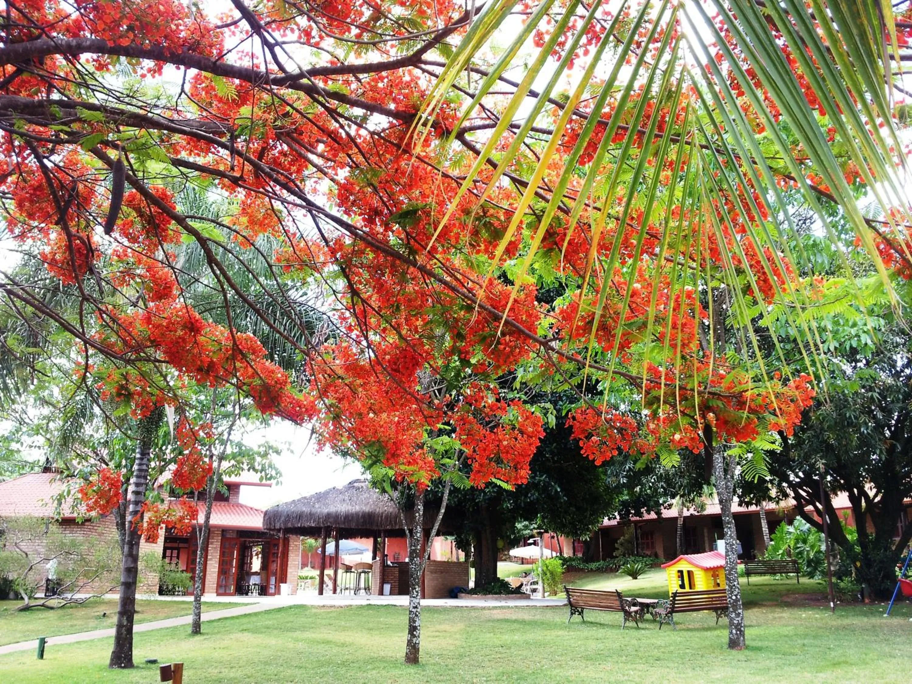 Garden in Pousada Beco da Lua