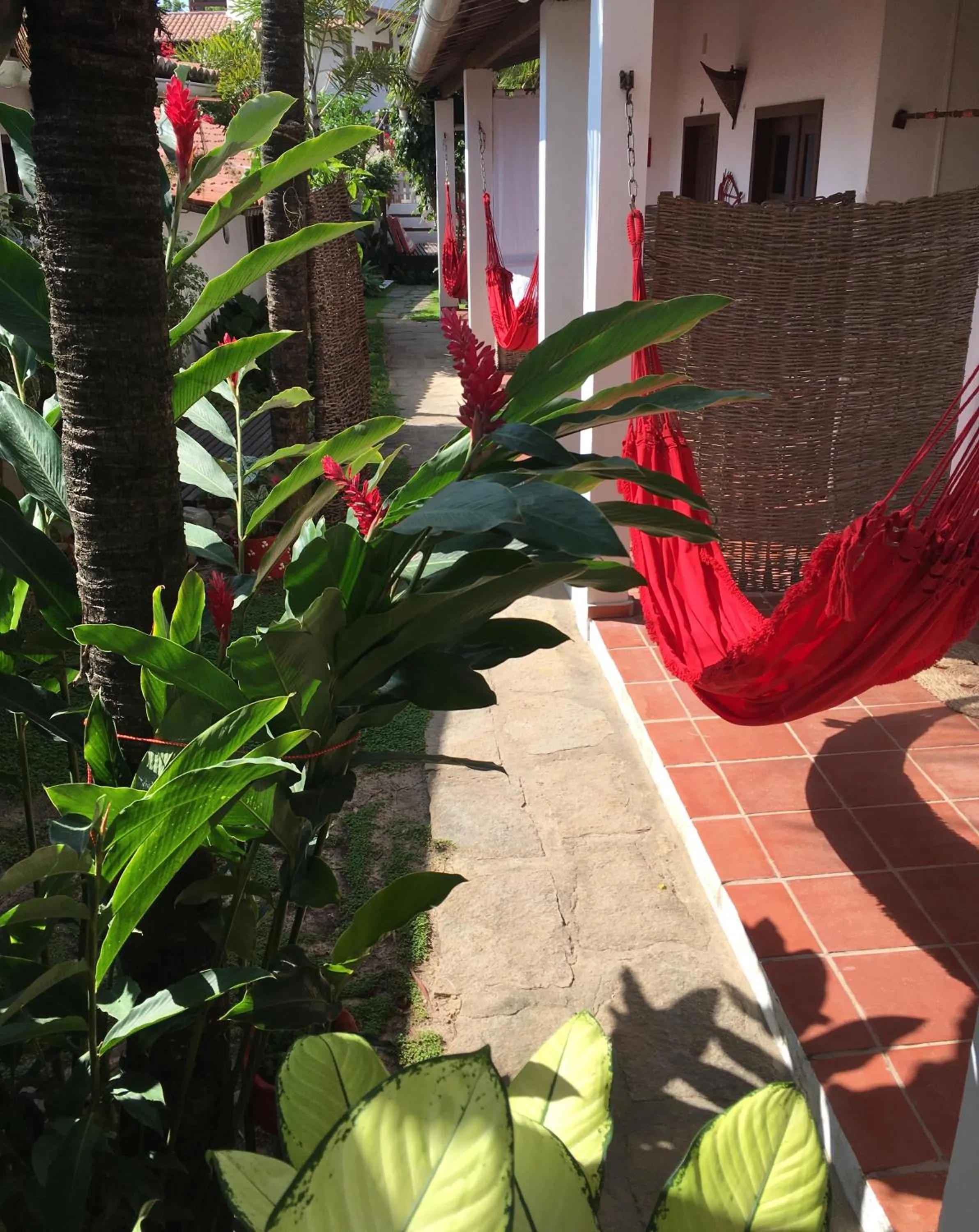 Garden in Pousada Atlantis