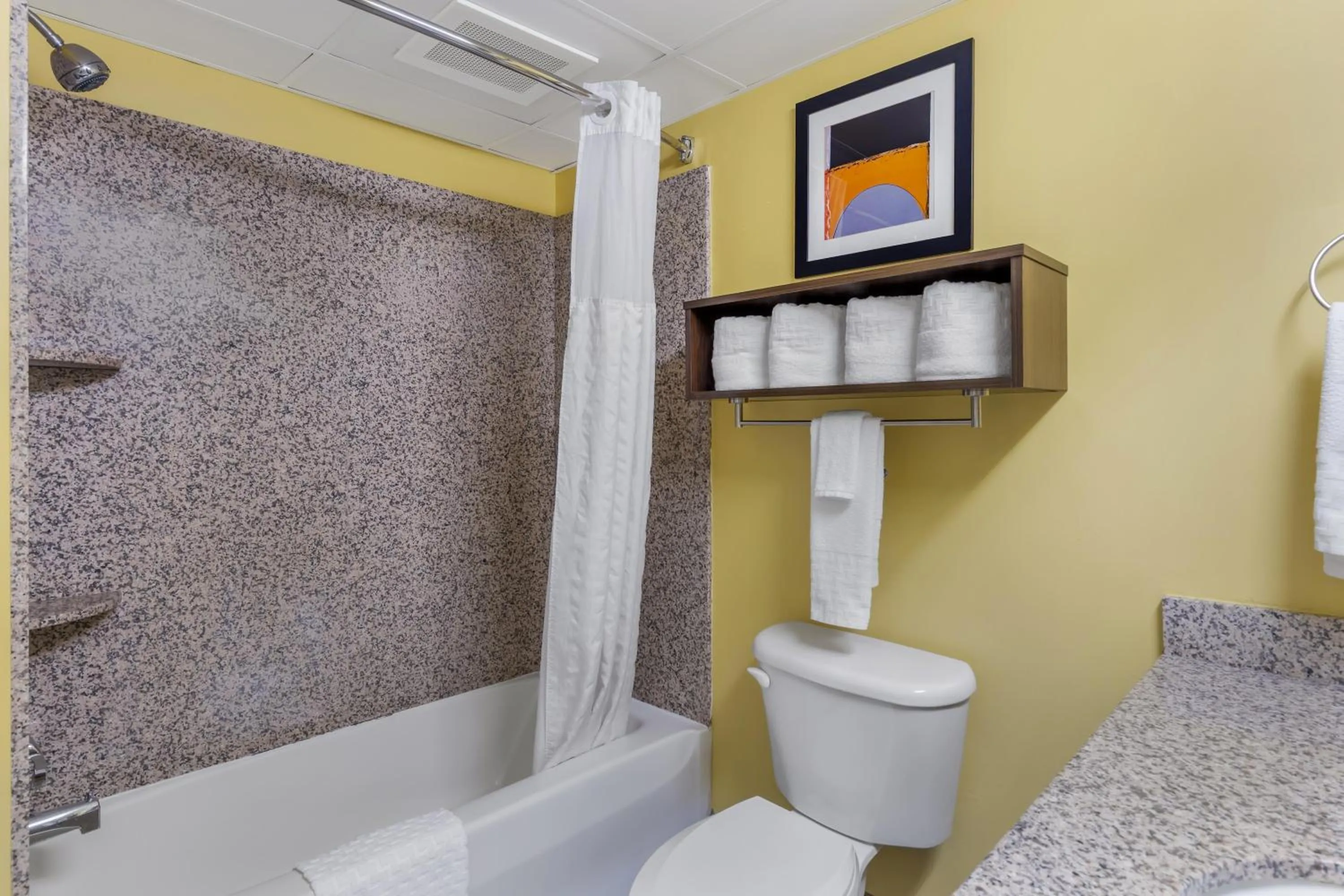 Bathroom in Best Western Plus Suites Greenville