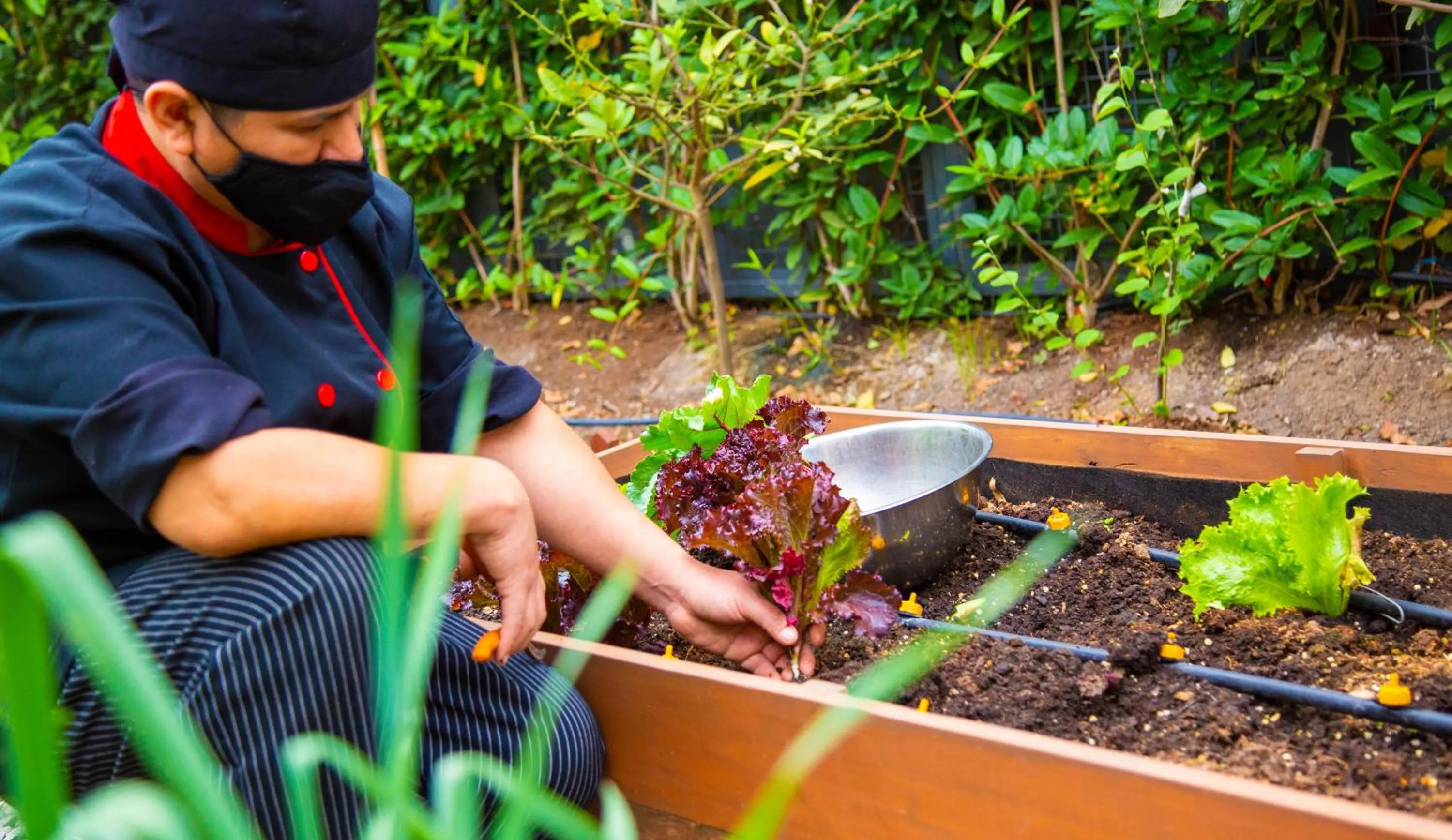 Garden in Palmetto Hotel Business San Borja