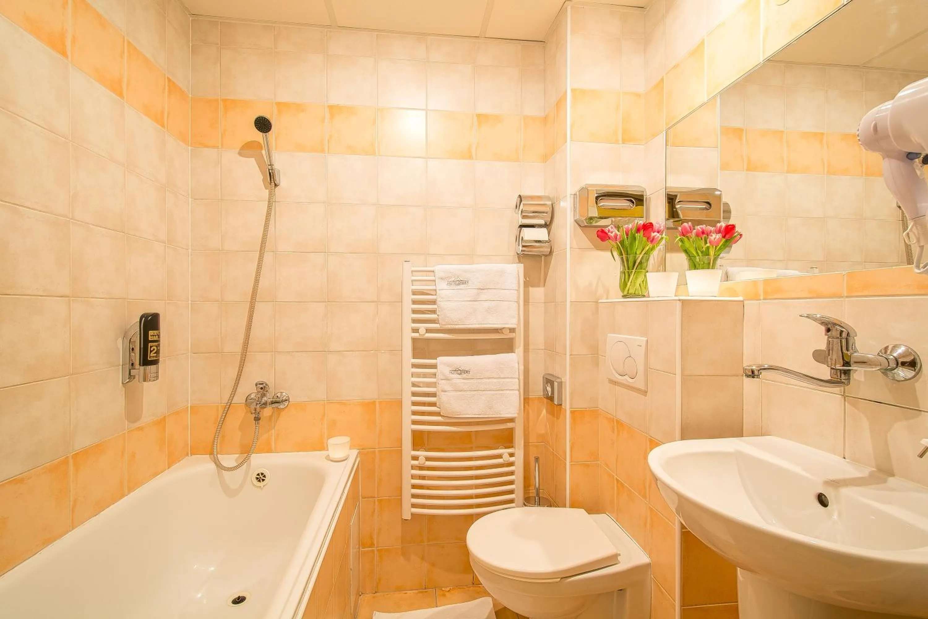 Bathroom in Hotel Diery