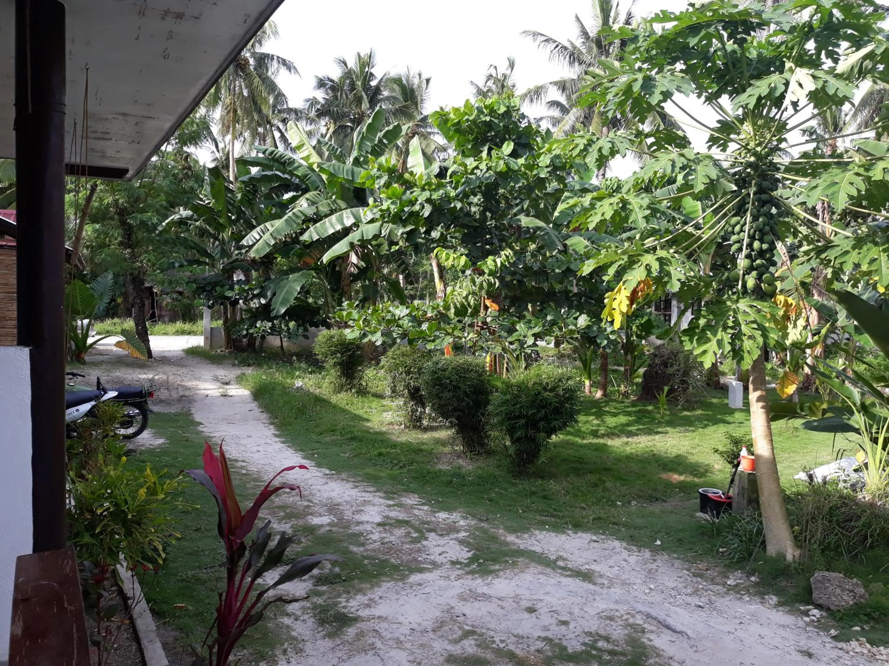 Garden in Gardenview Homestay Siargao