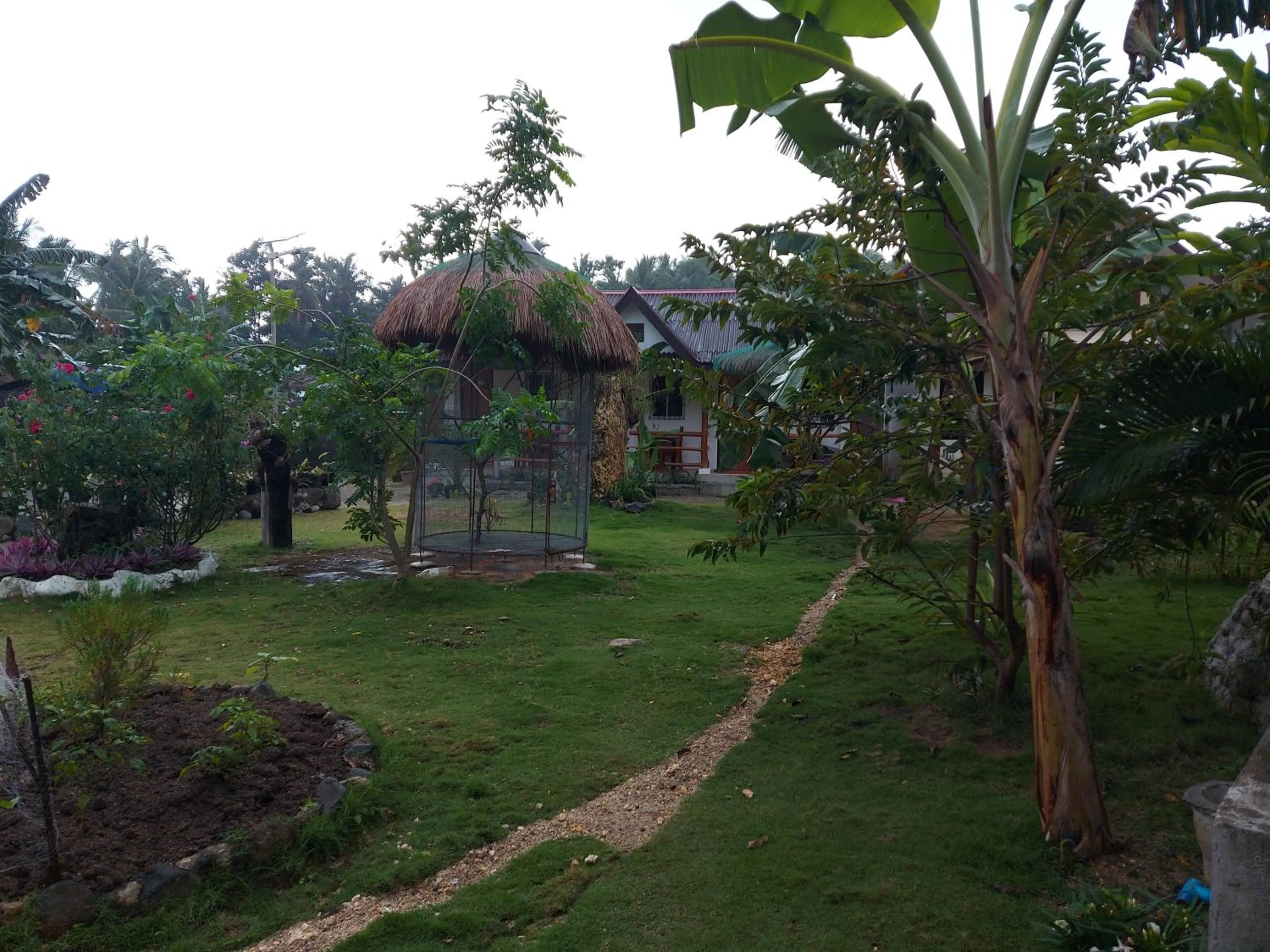 Garden in Gardenview Homestay Siargao