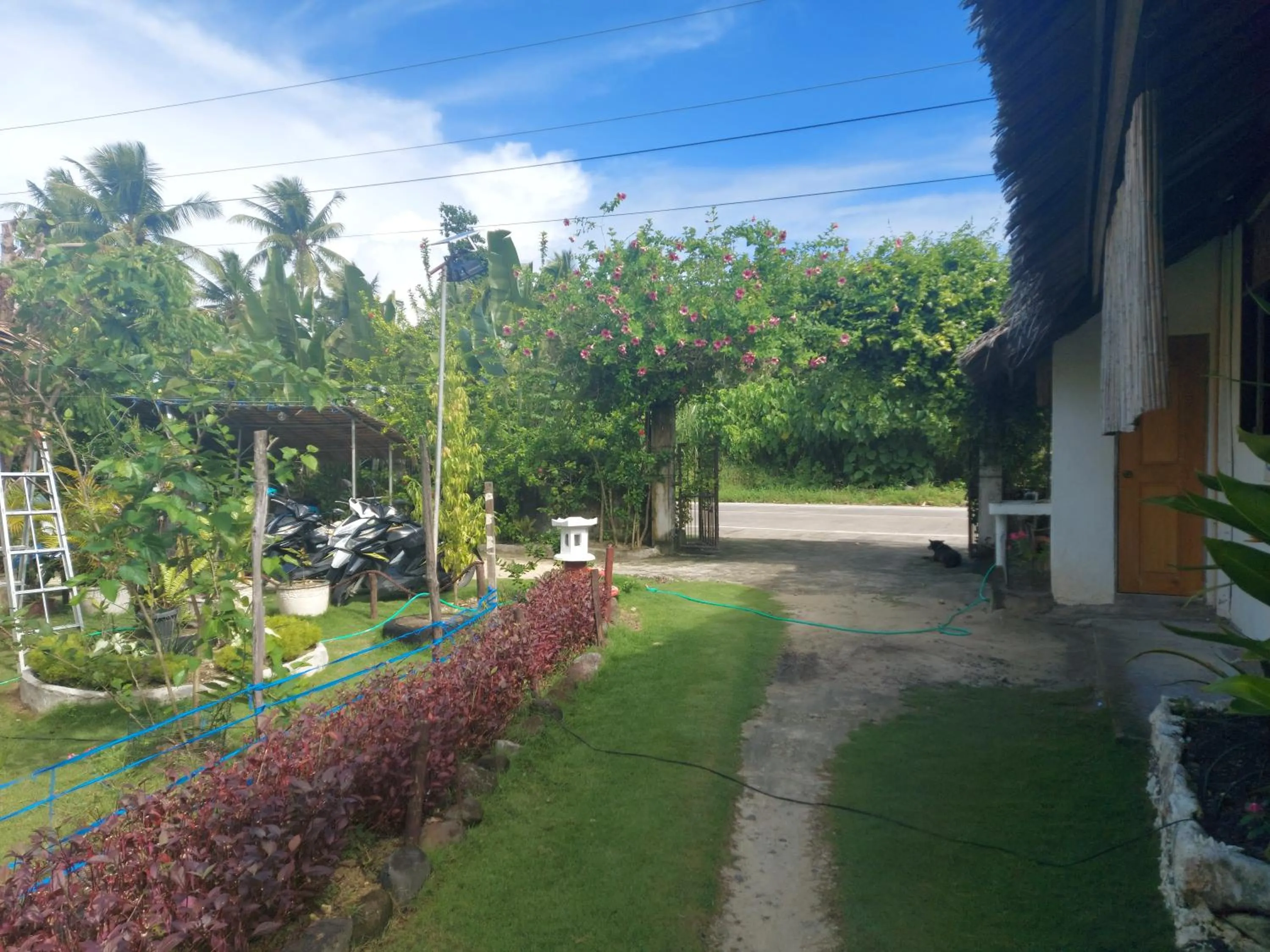 Facade/entrance in Gardenview Homestay Siargao