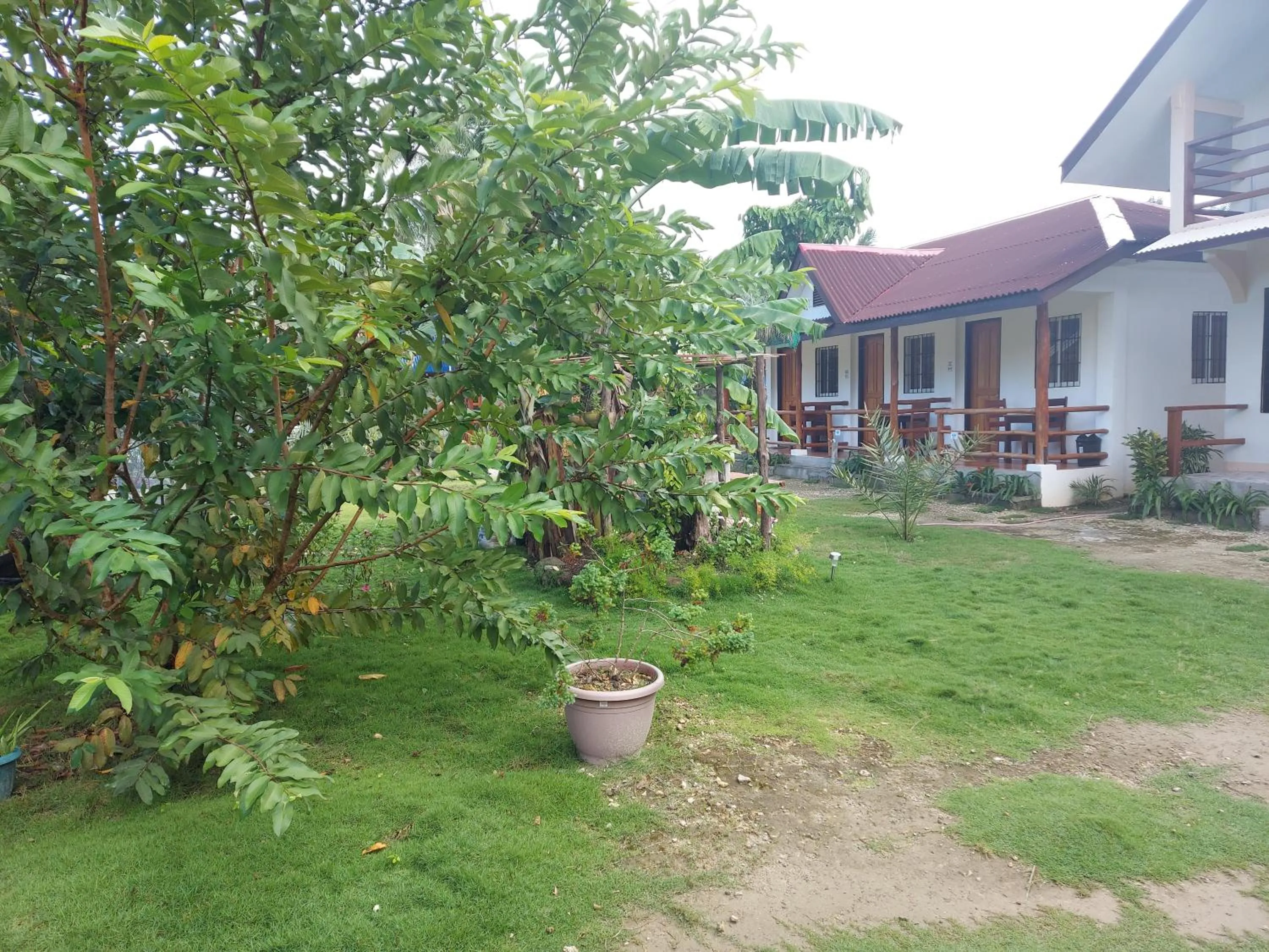 Garden in Gardenview Homestay Siargao