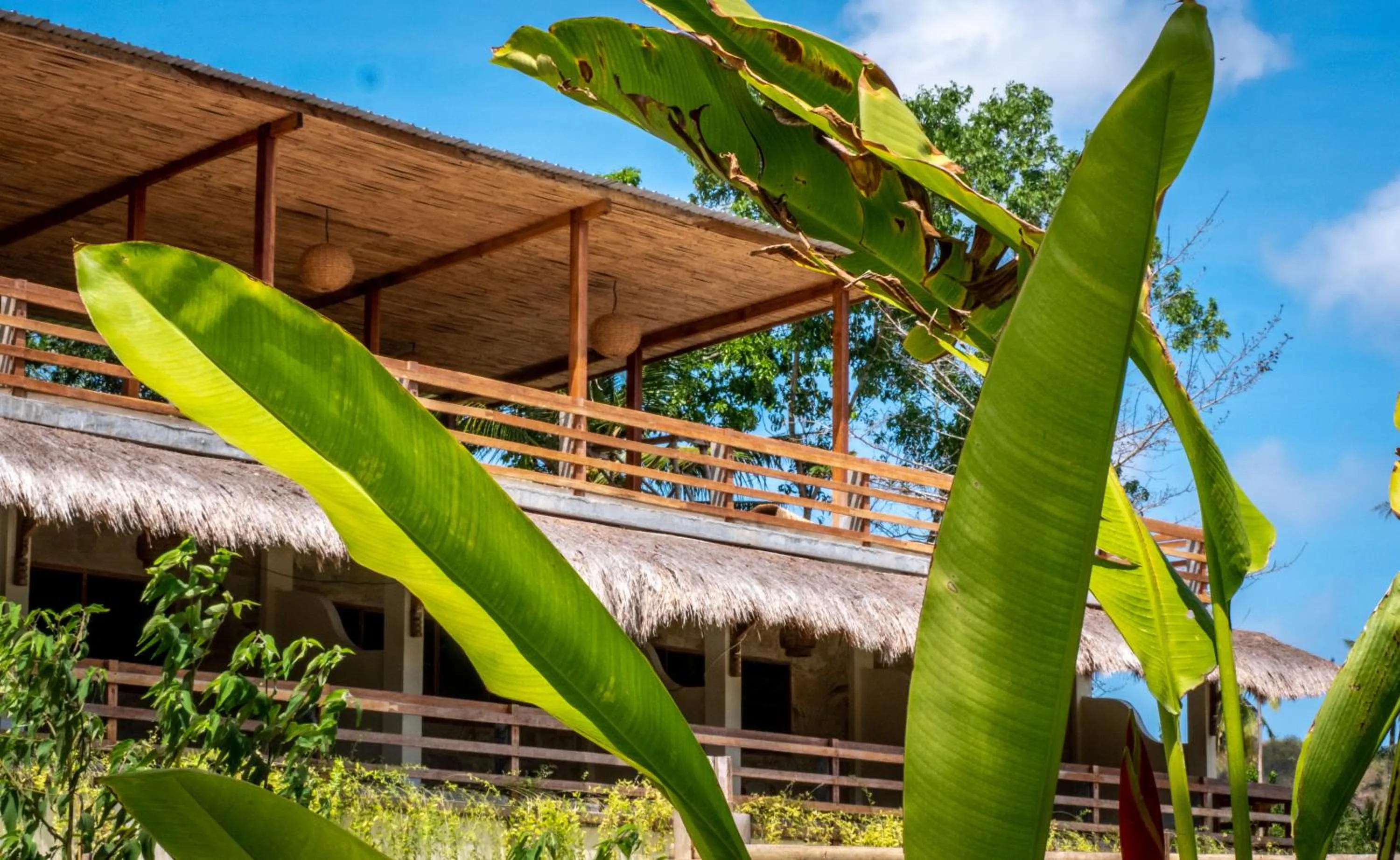 Property building in Mango Lodge
