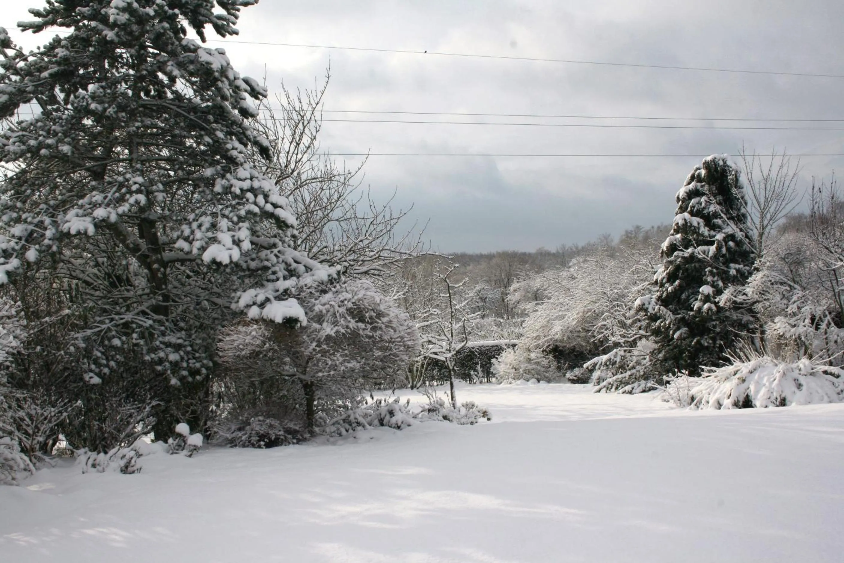 Garden in B&B Le Jardin d'Epicure