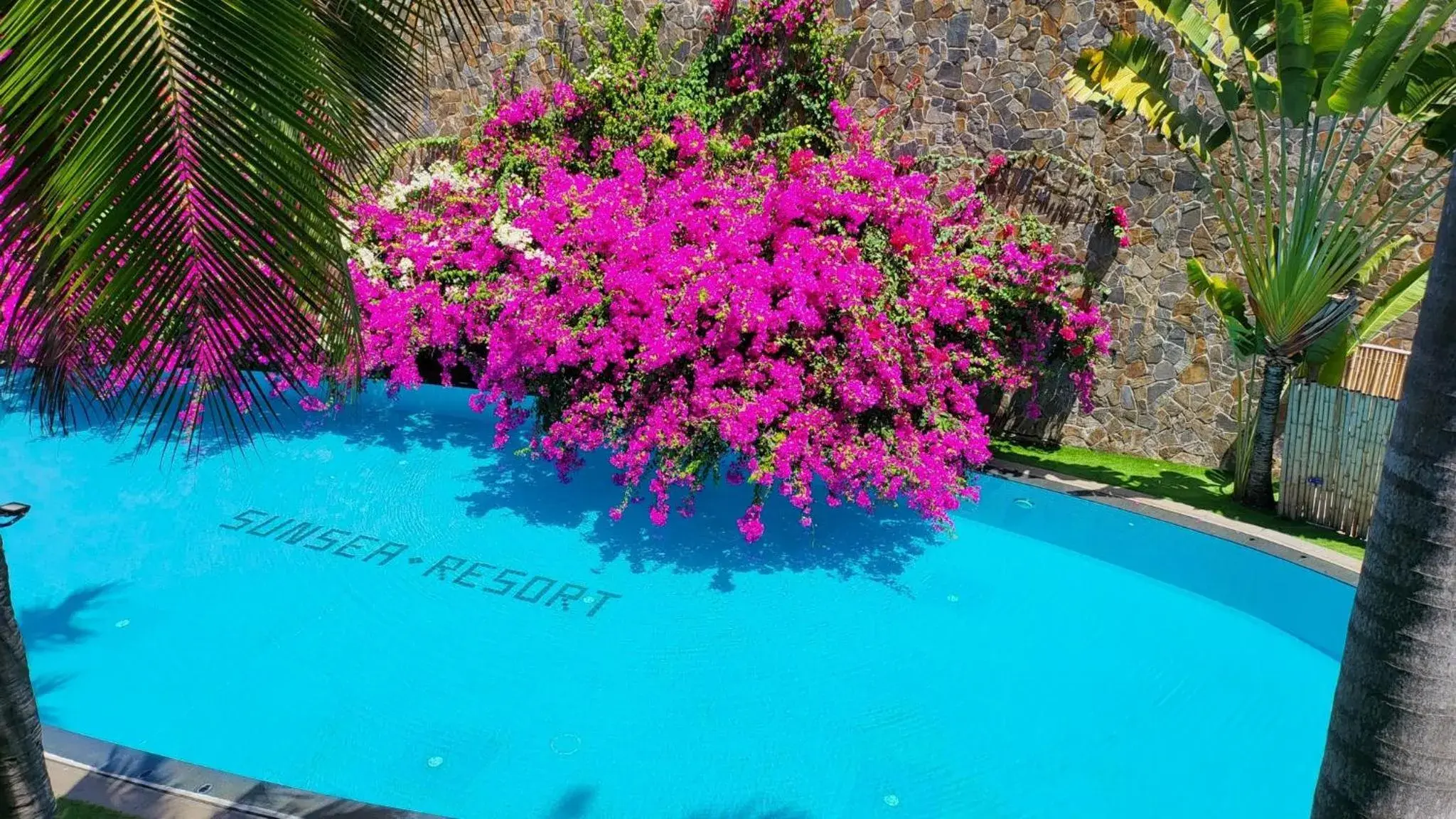 Suite with Pool View in Sunsea Resort Suite with Pool View in Sunsea Resort