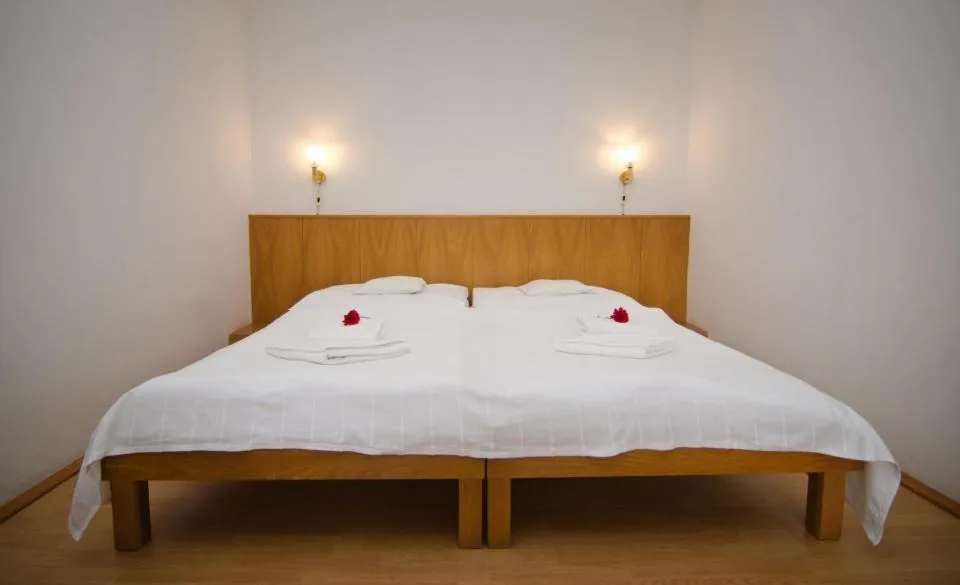 Double Room in Hotel Gold