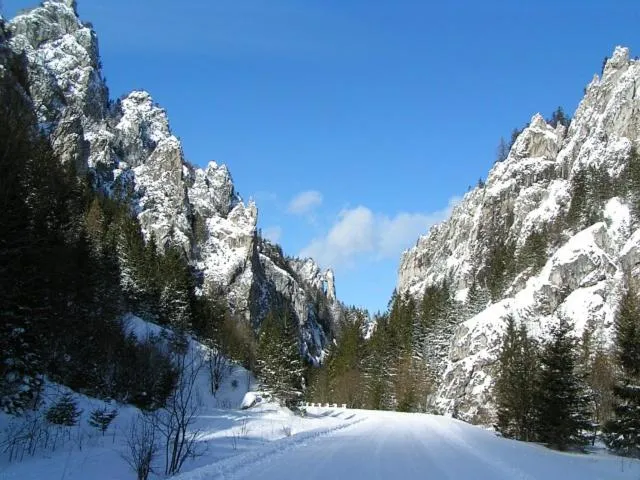 Activities in Hotel Gold