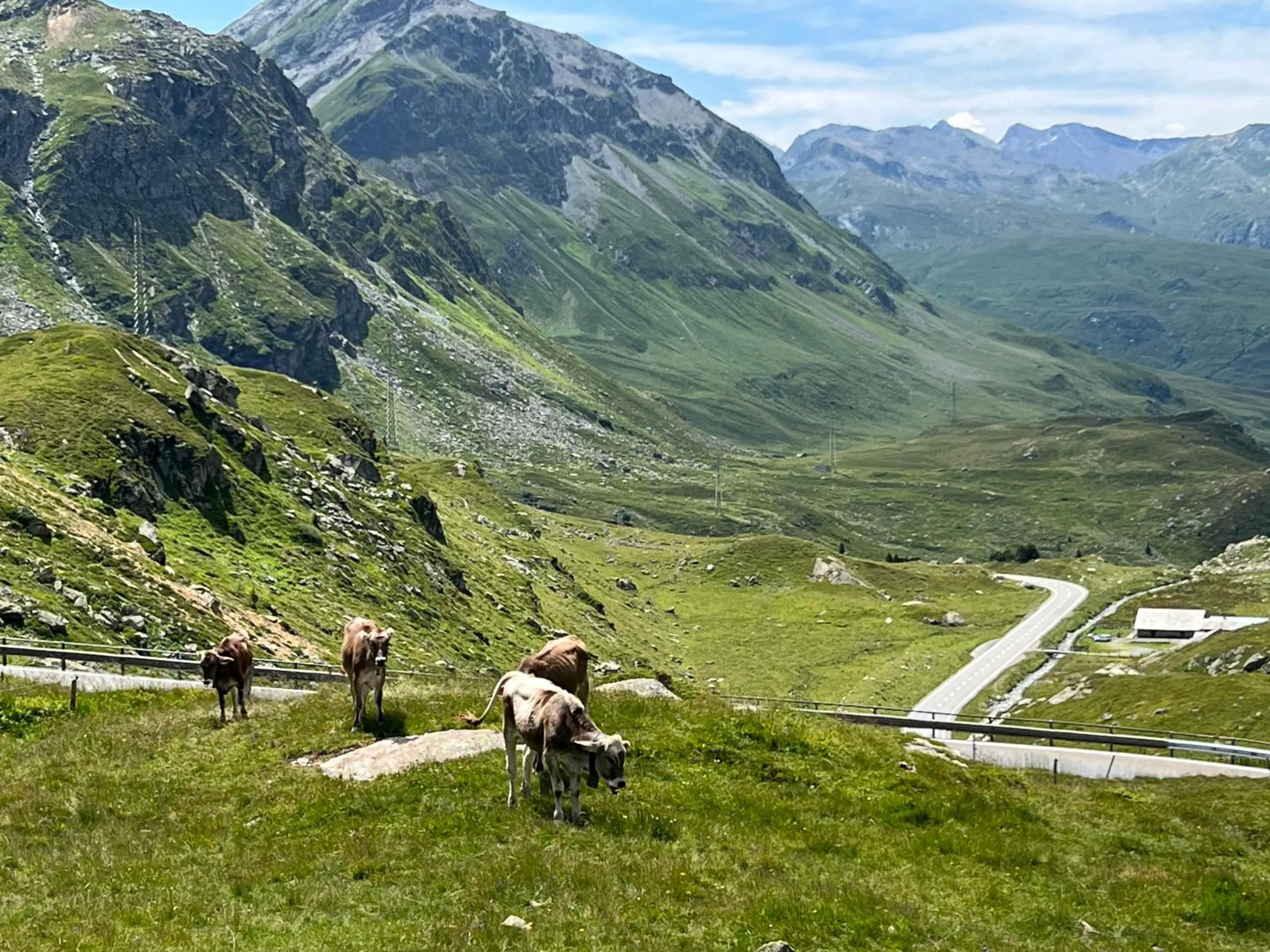 Spring in Ospizio La Veduta