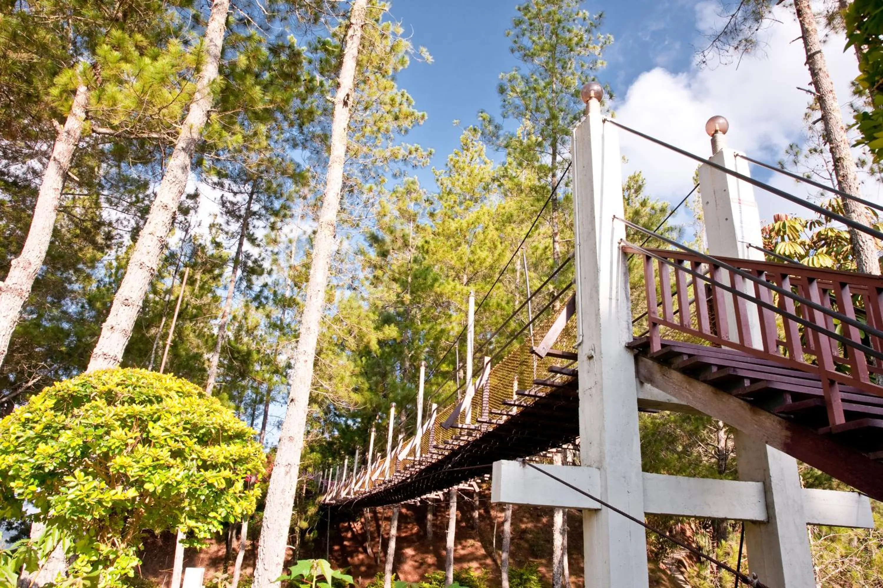 Activities in Perkasa Hotel Mt Kinabalu