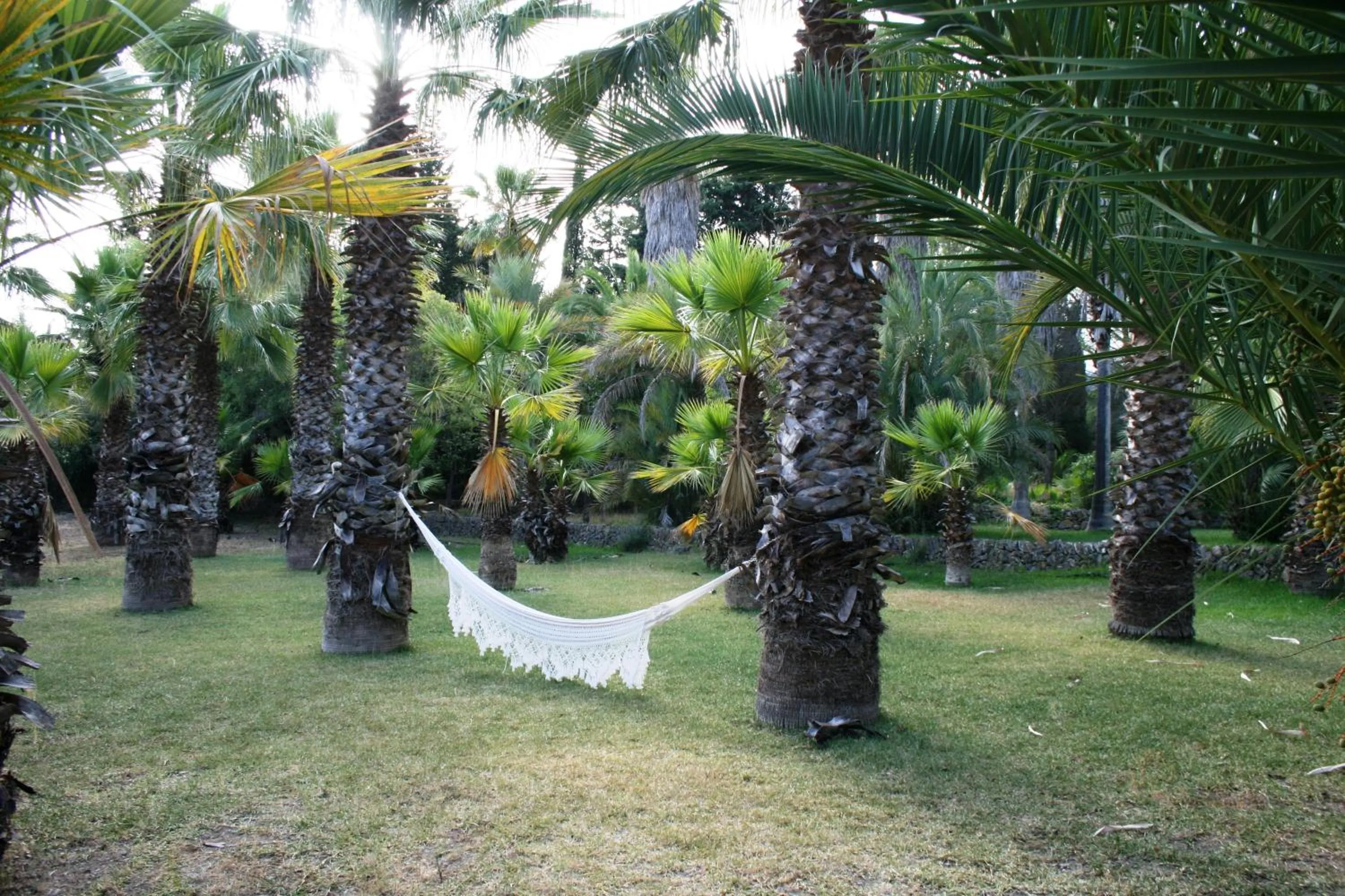 Garden in Finca Son Pont