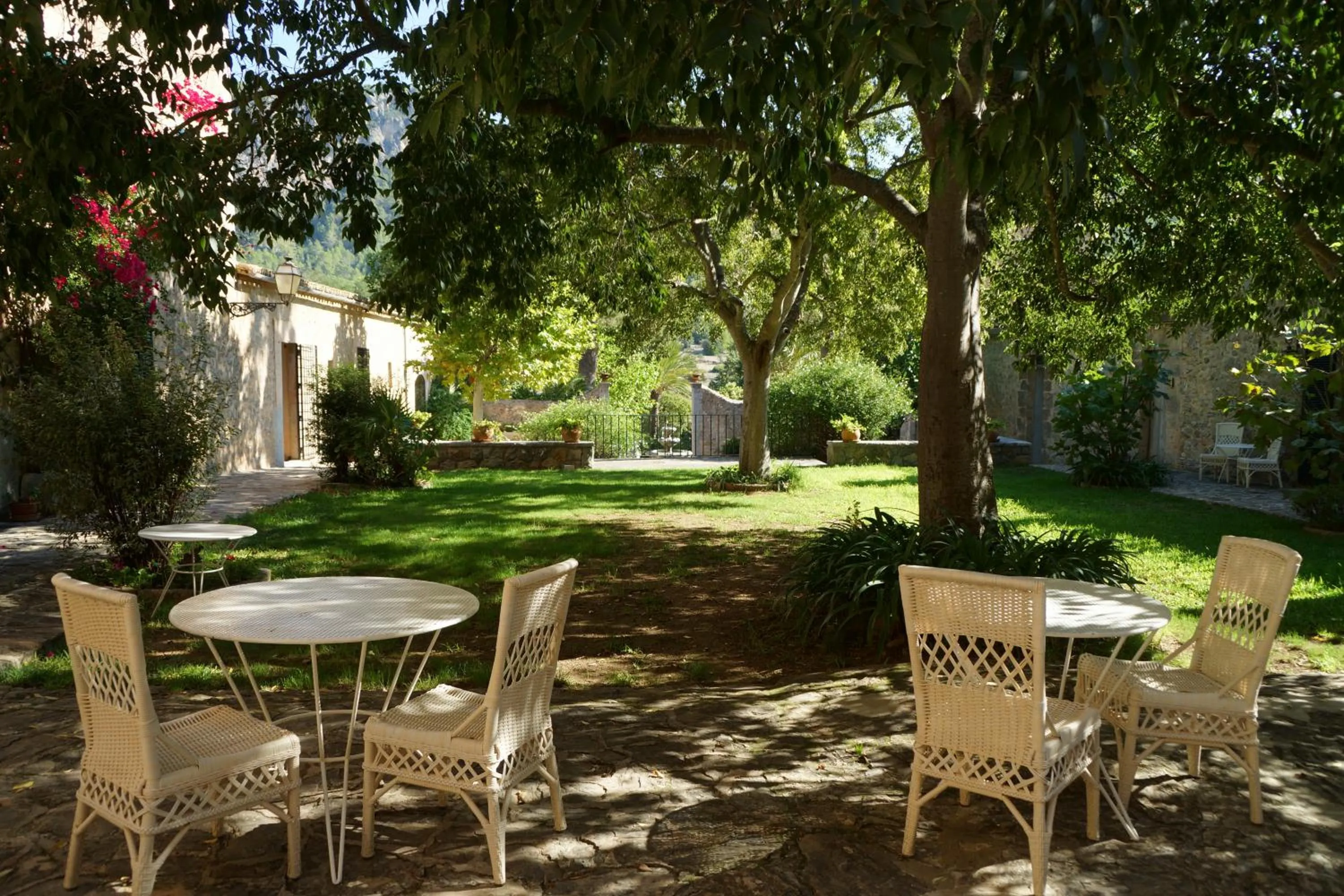 Garden in Finca Son Pont