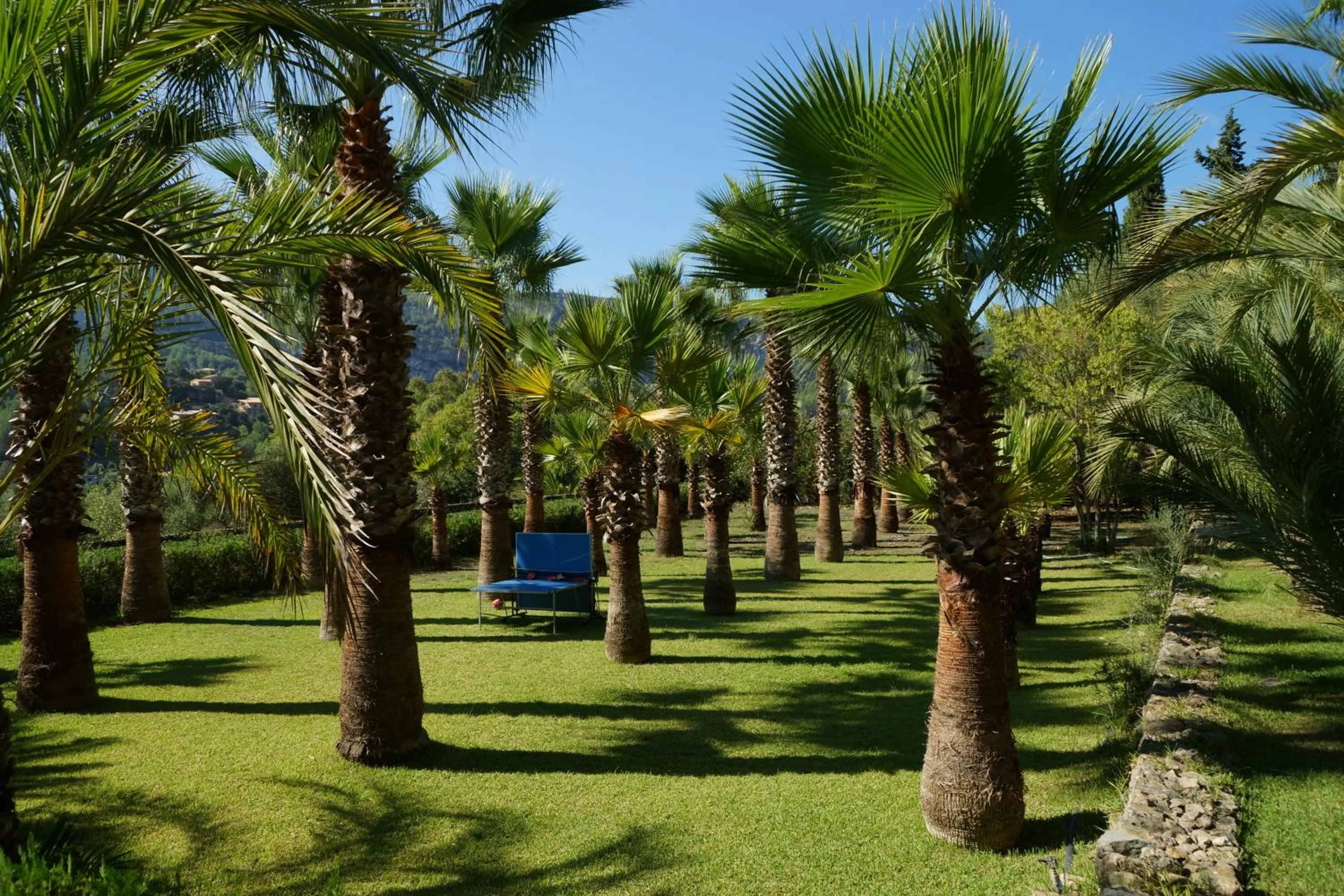 Garden in Finca Son Pont