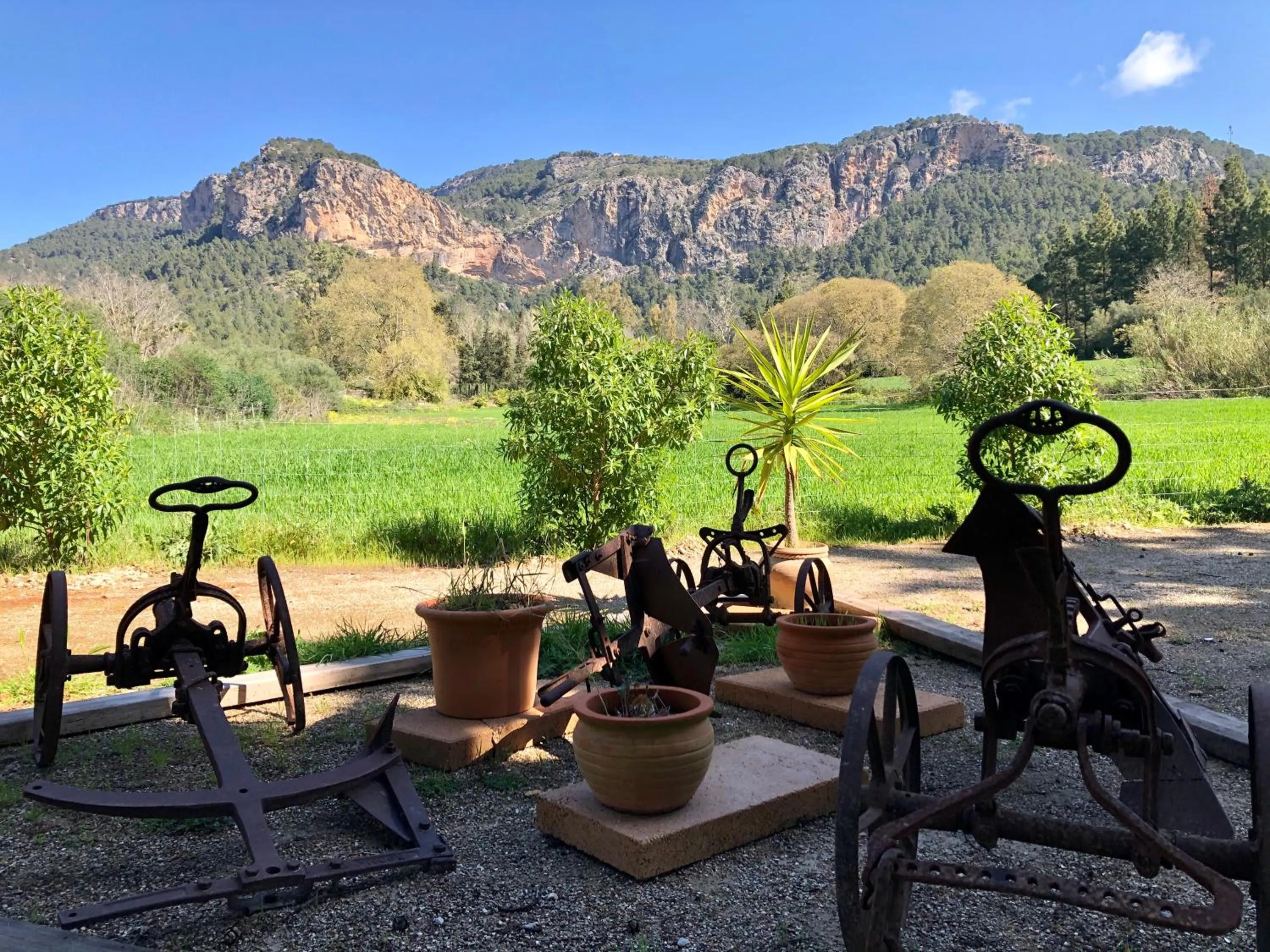 Mountain view in Finca Son Pont