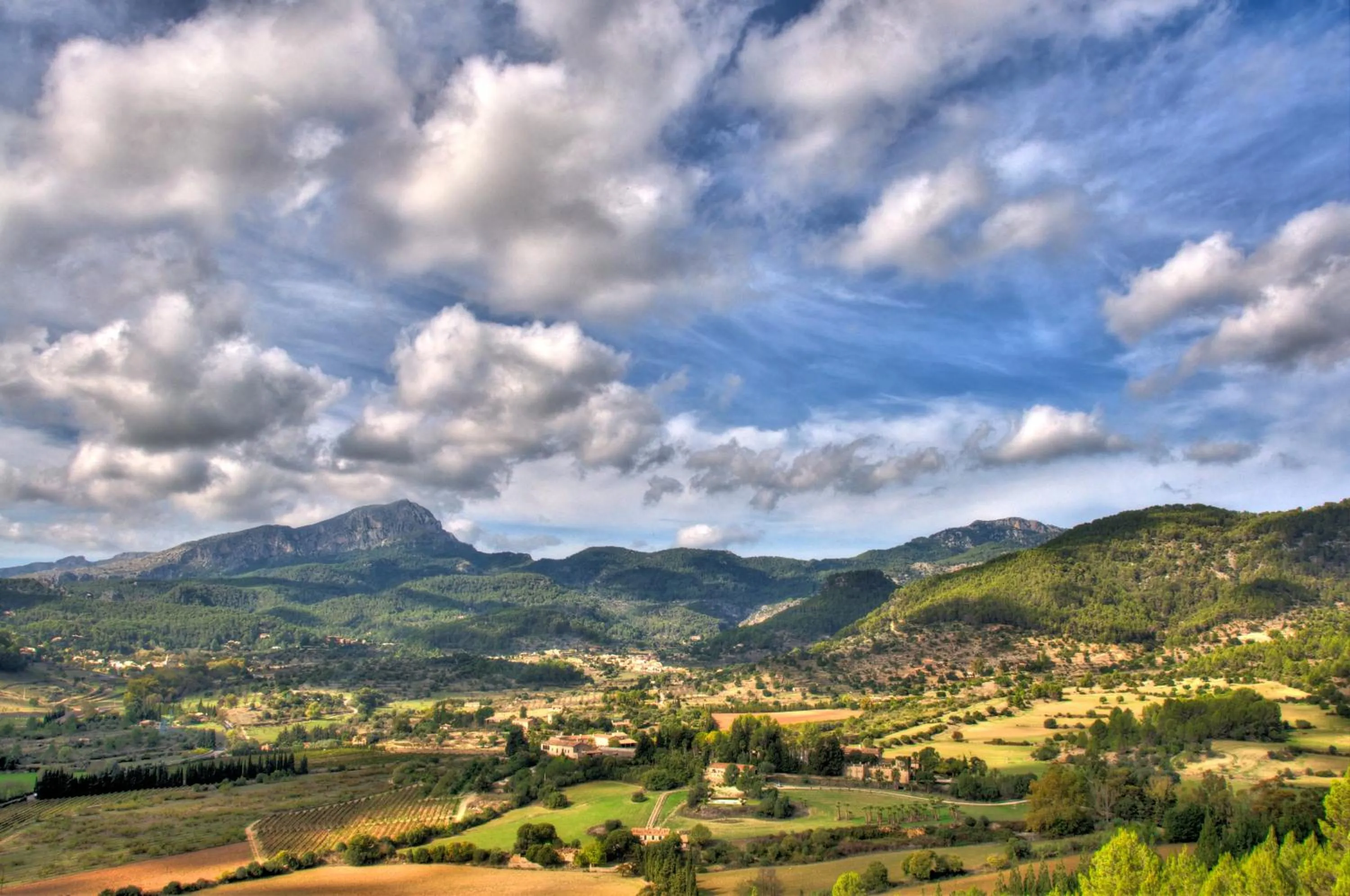 Natural landscape in Finca Son Pont
