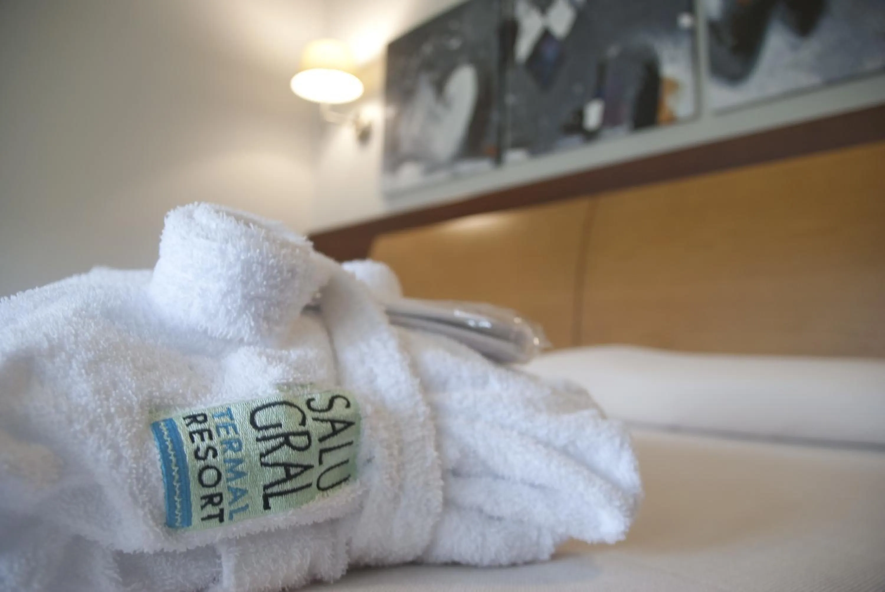 Decorative detail, Bed in Salugral Termal Resort