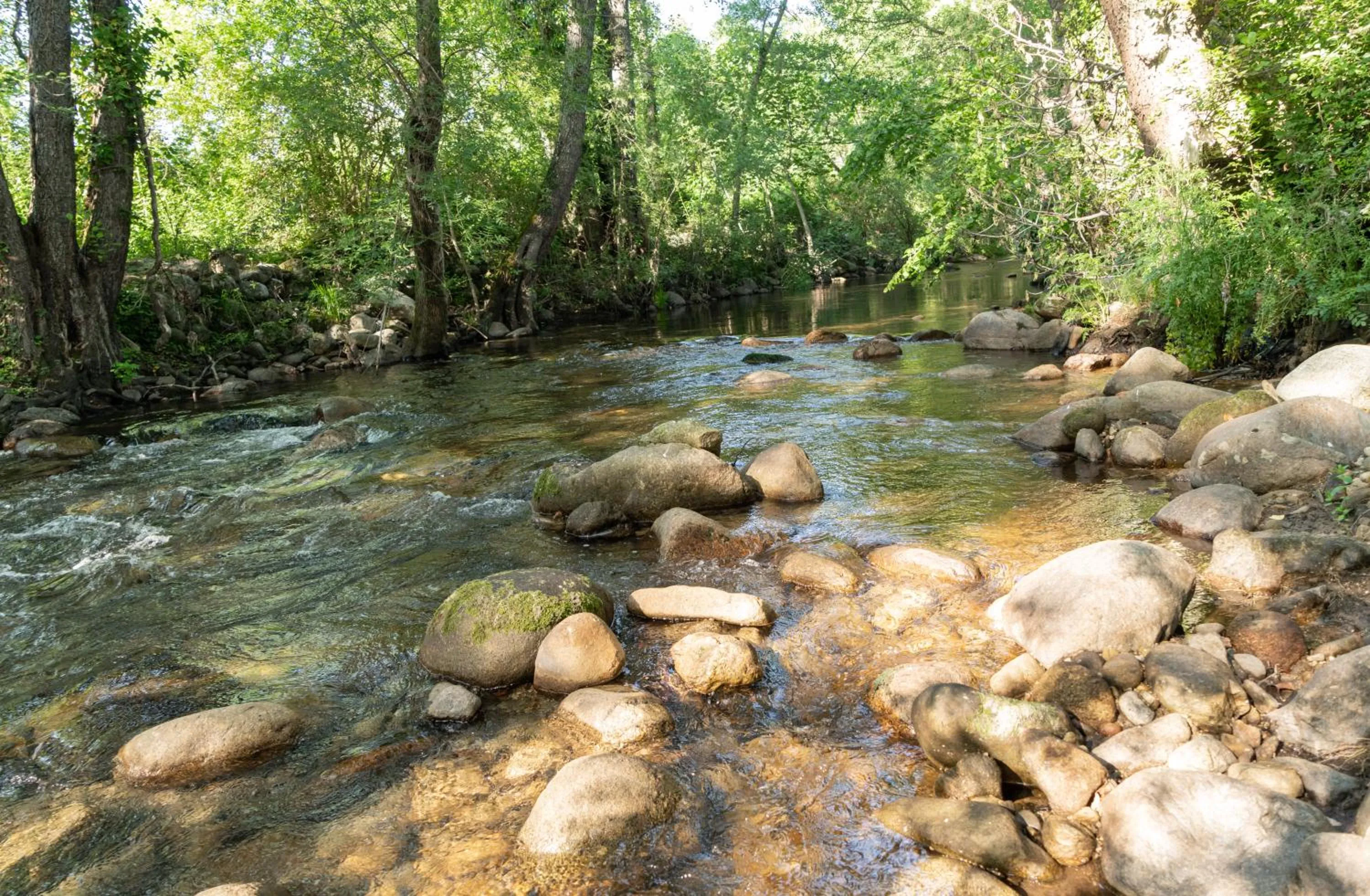 Mountain view in Salugral Termal Resort