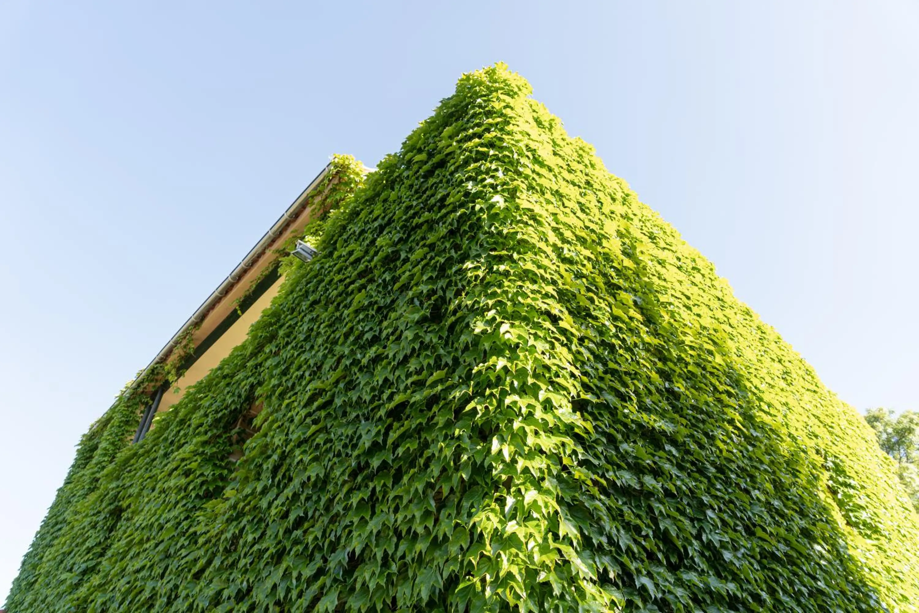 Garden in Salugral Termal Resort