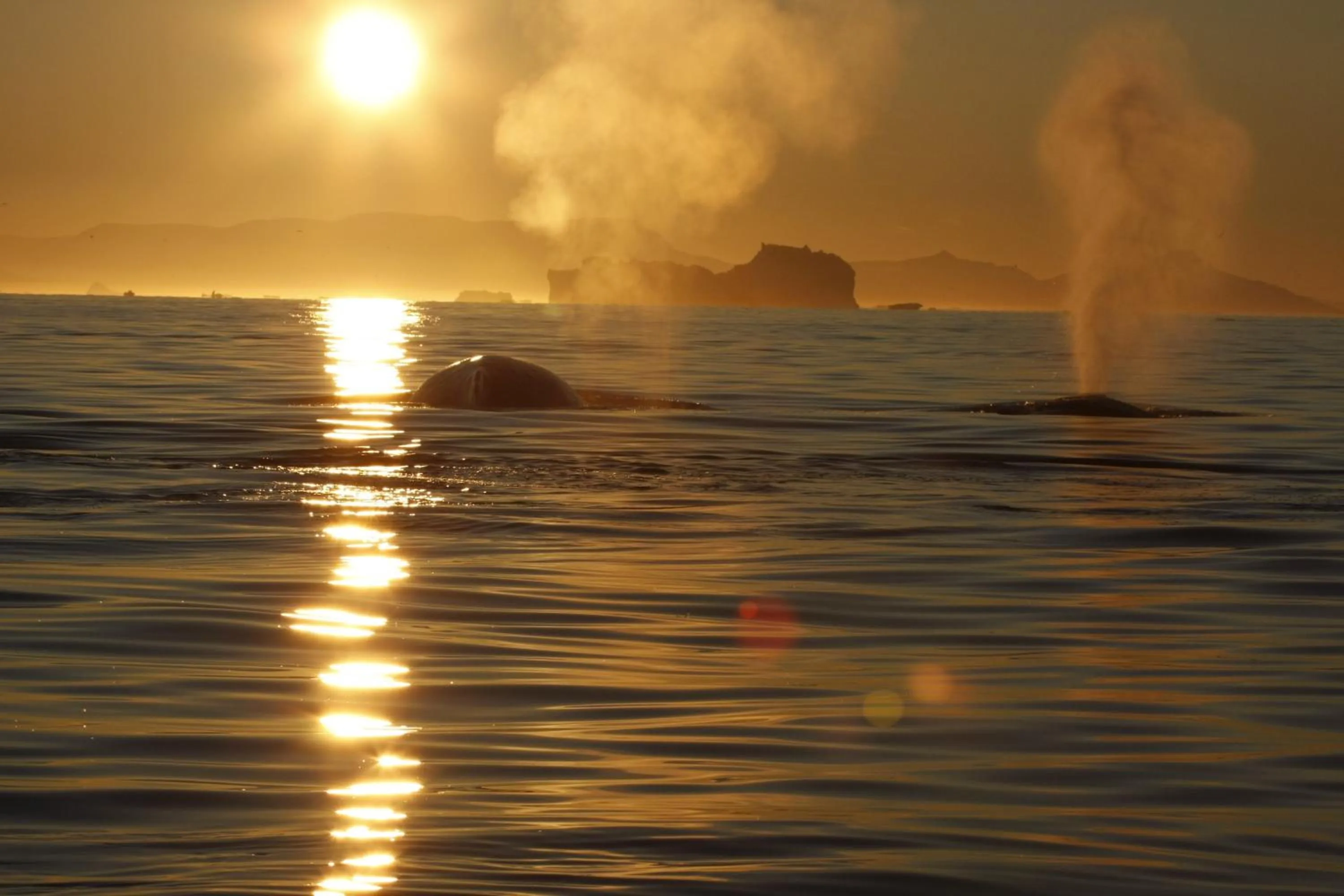 Natural landscape in Hotel Icefiord