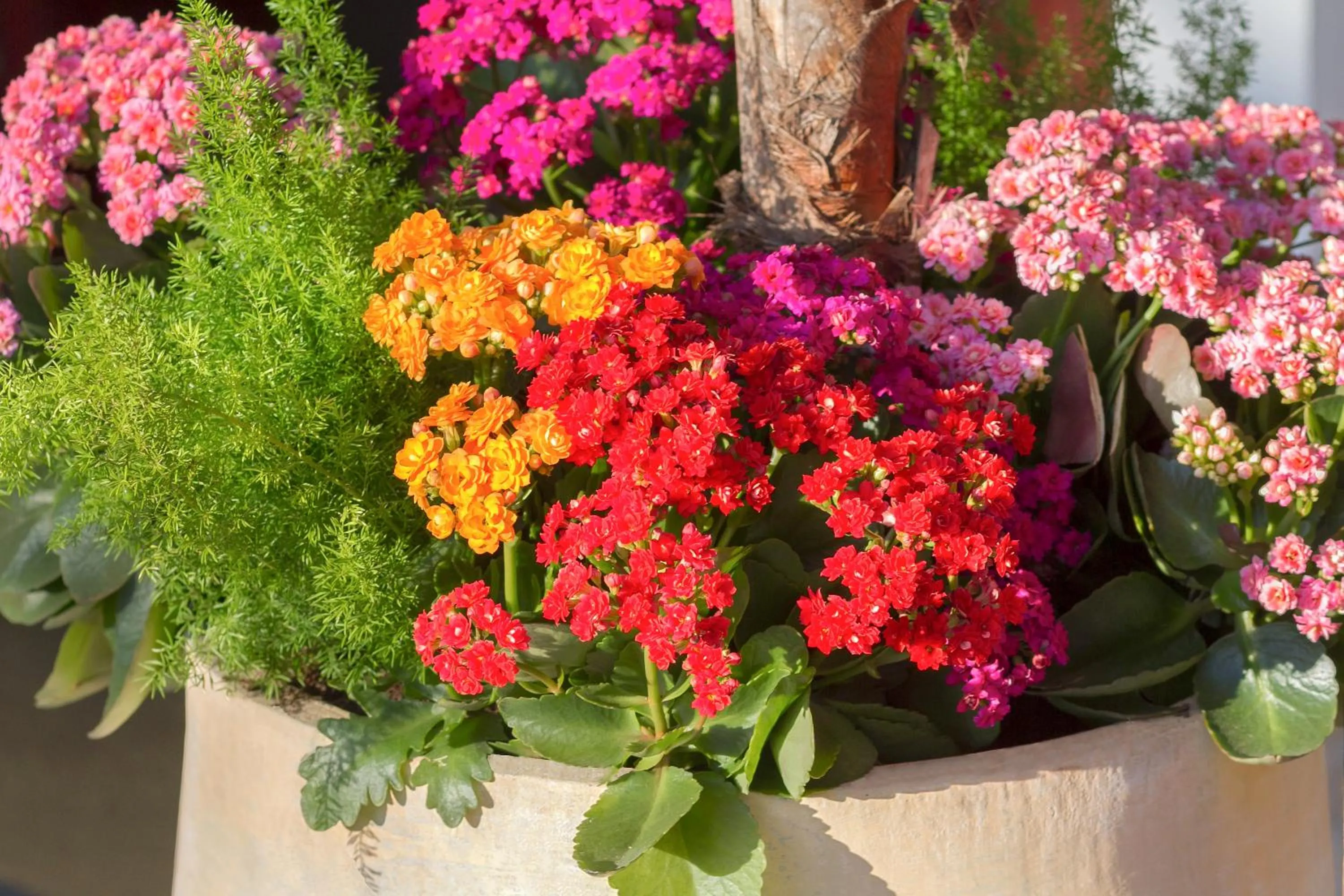 Lobby or reception in Pousada Recanto do Jabaquara