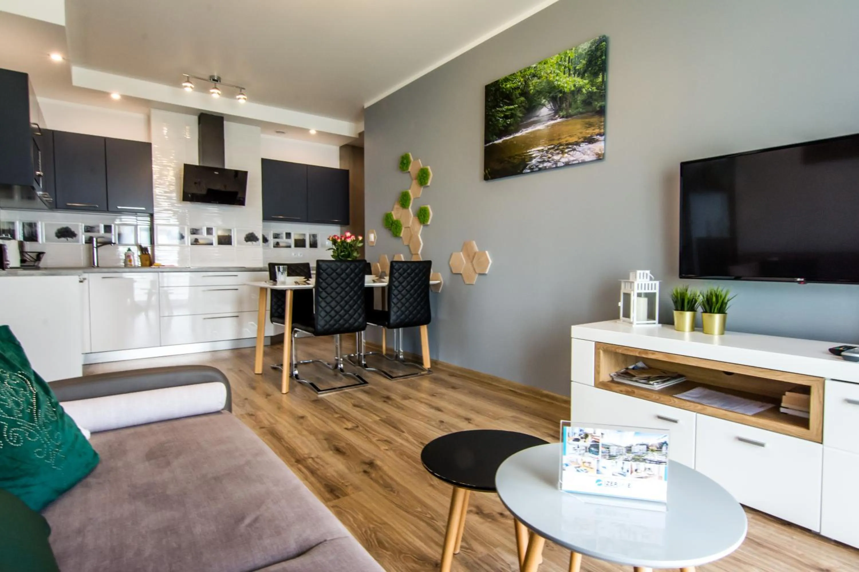 TV and multimedia in Apartamenty Izerskie - ul. Cicha 13H-I