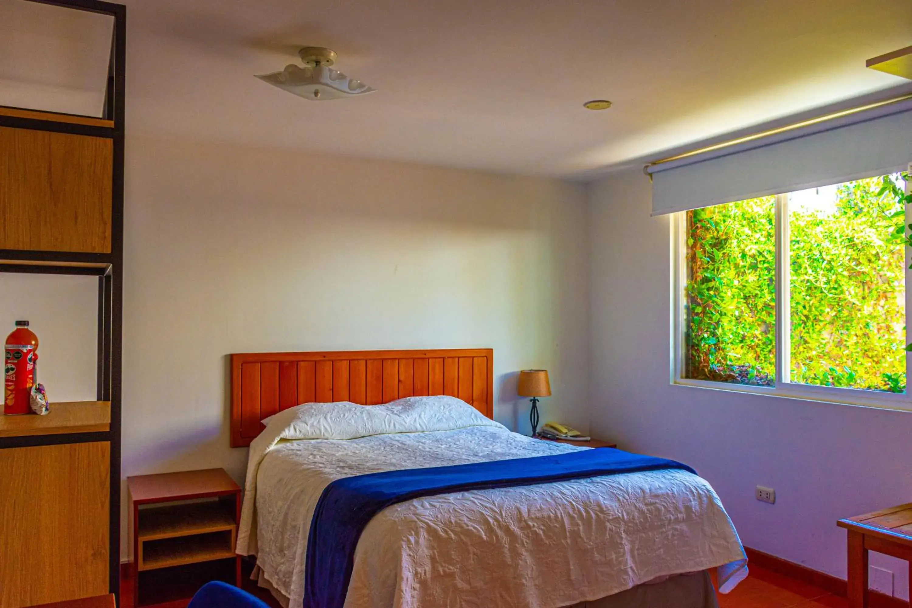 Double Room in Refugio Ecológico Arequipa Double Room in Refugio Ecológico Arequipa