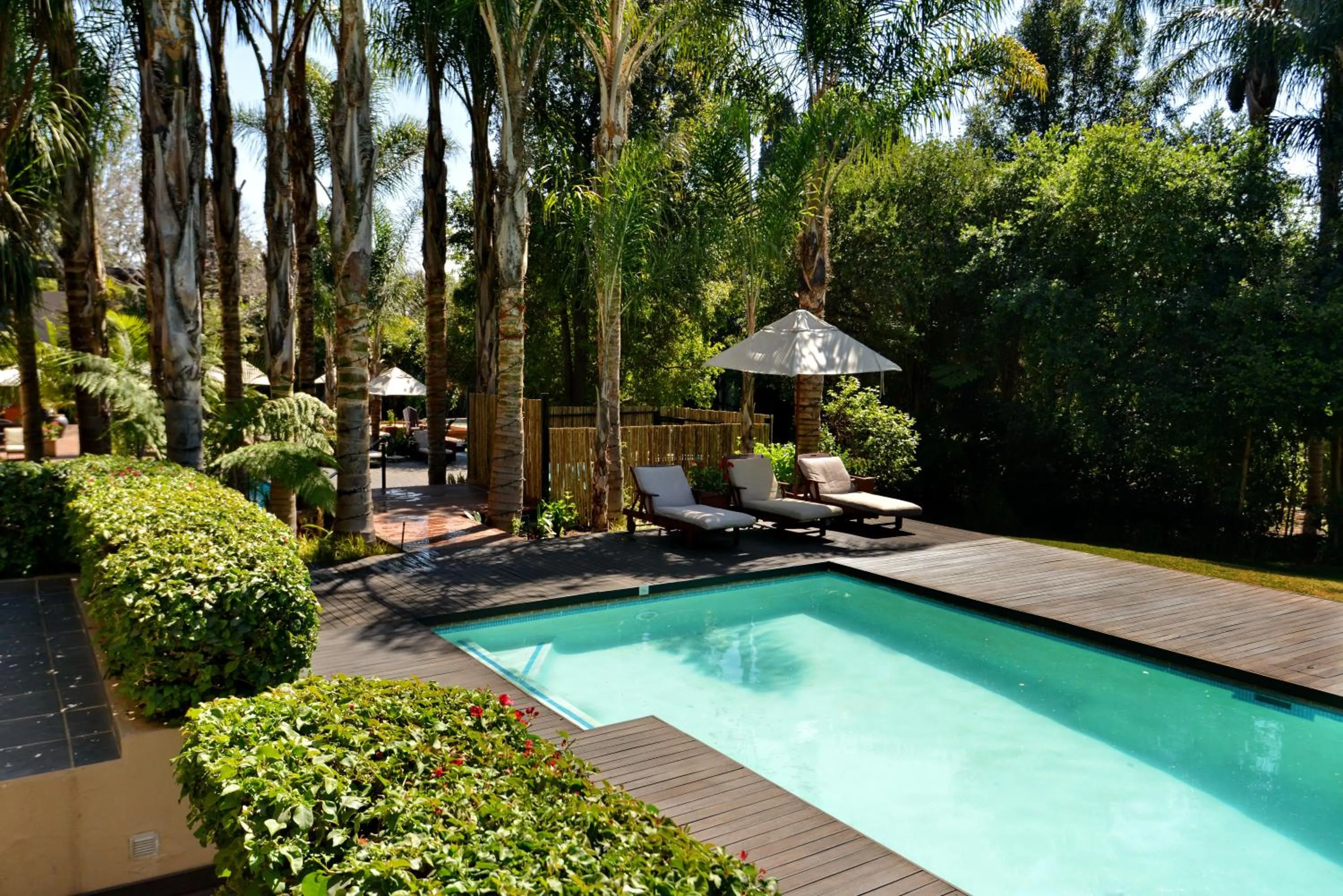 Pool view in The Residence