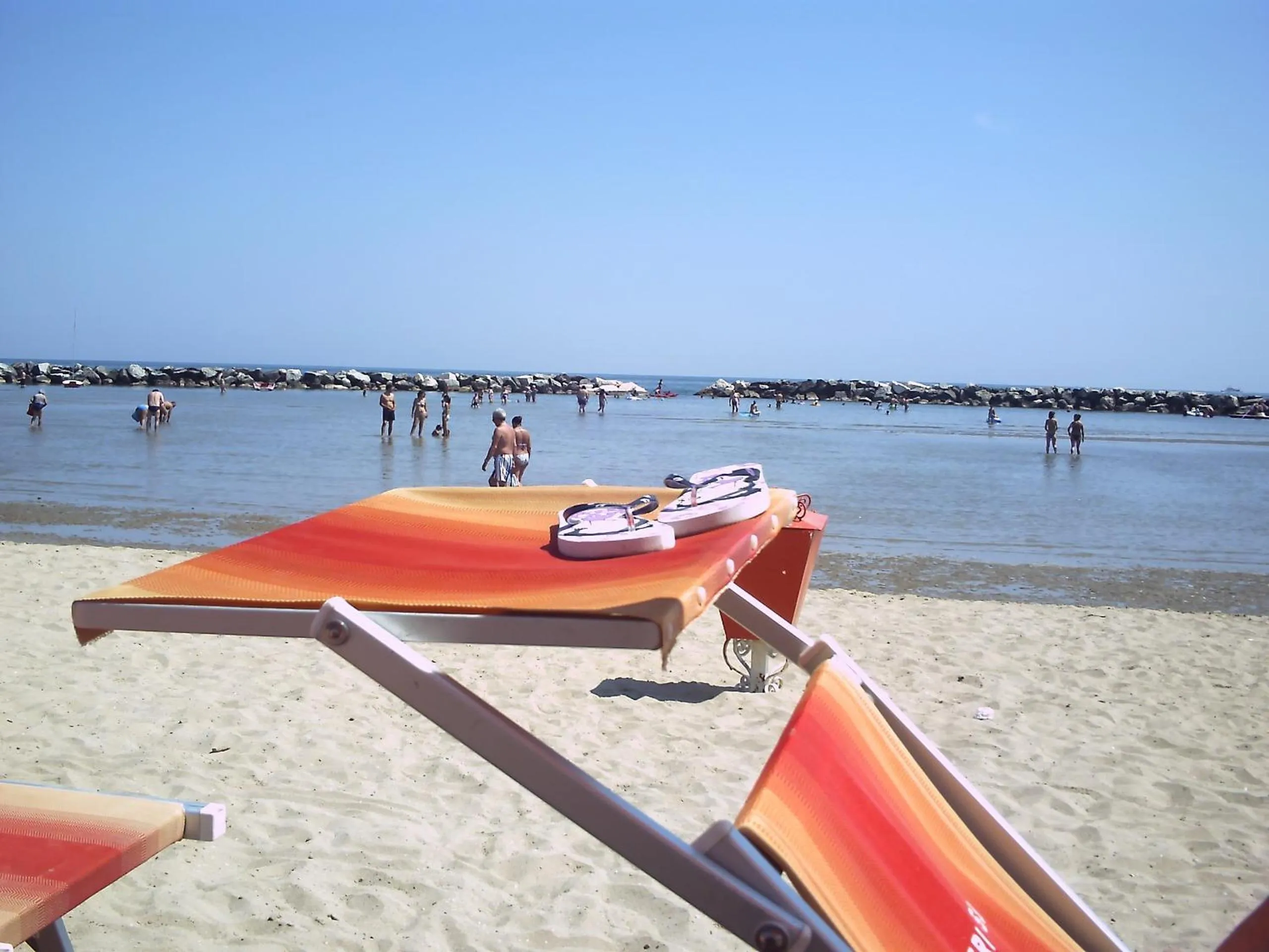 Area and facilities in Hotel Viking