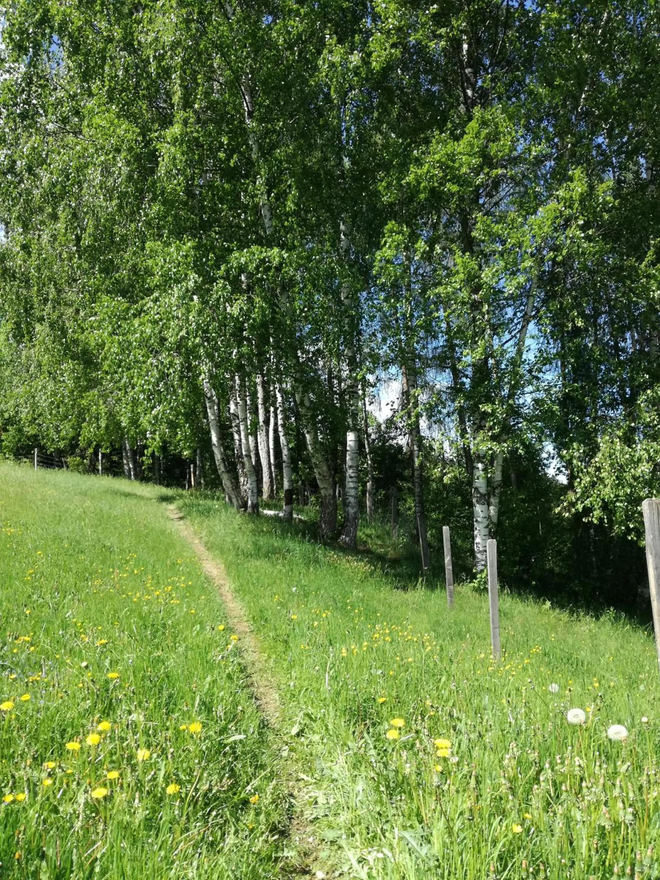 Natural landscape in Panoramahotel Stocker